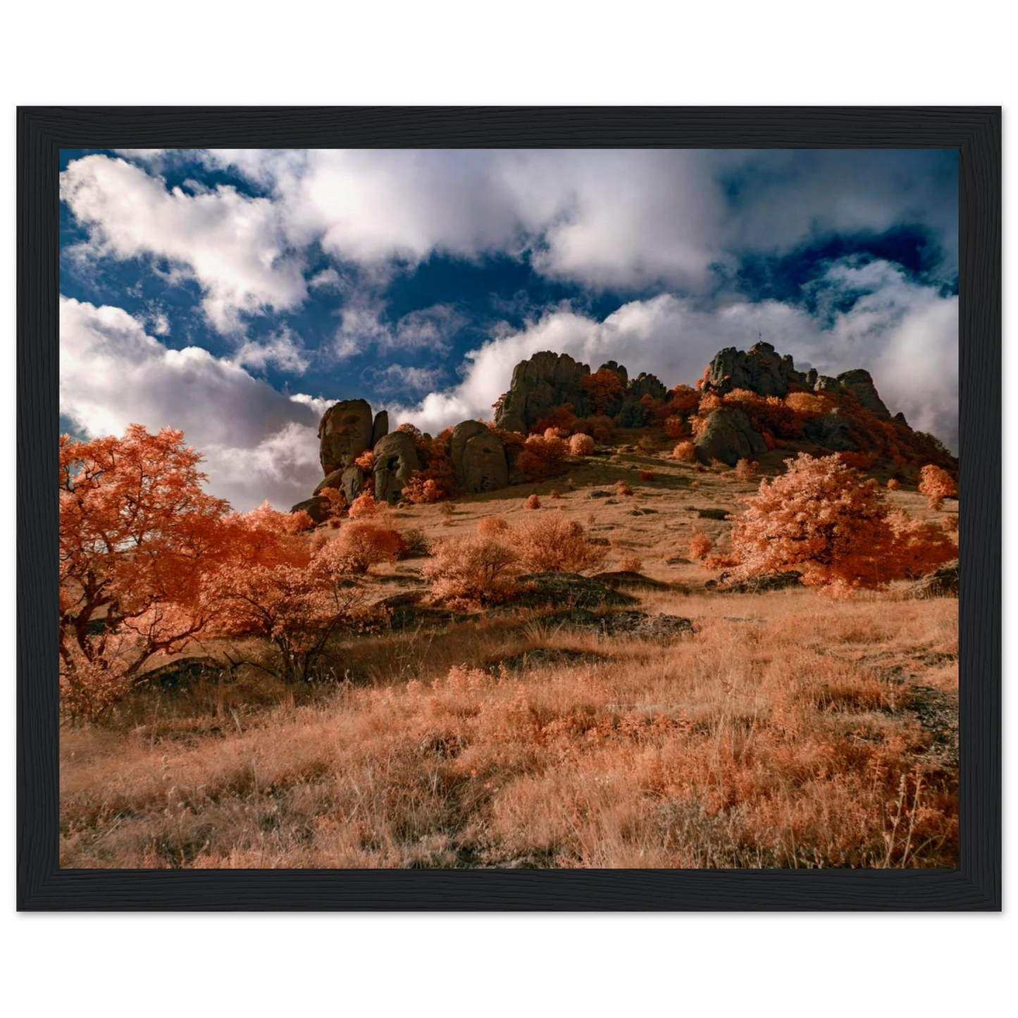 741a13c3-3610-406a-b7b2-4c9d65d45570