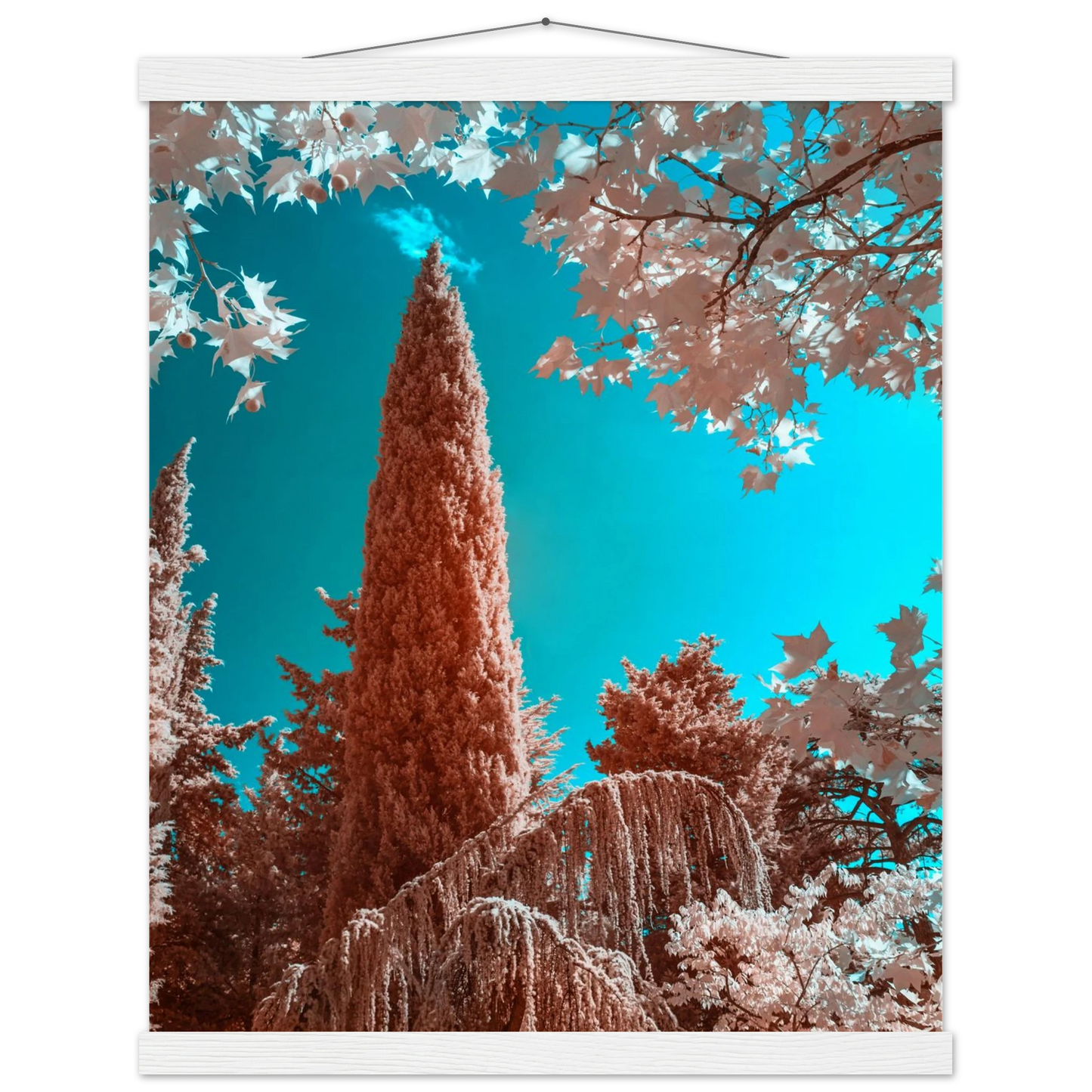 744fe8ce-000b-4907-b504-fce7dc612064