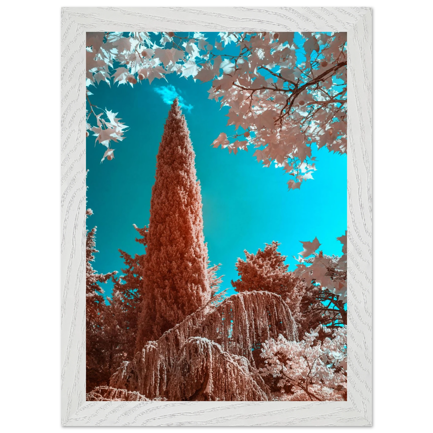 74c5e8b6-edb2-4102-b827-396b12e9629c