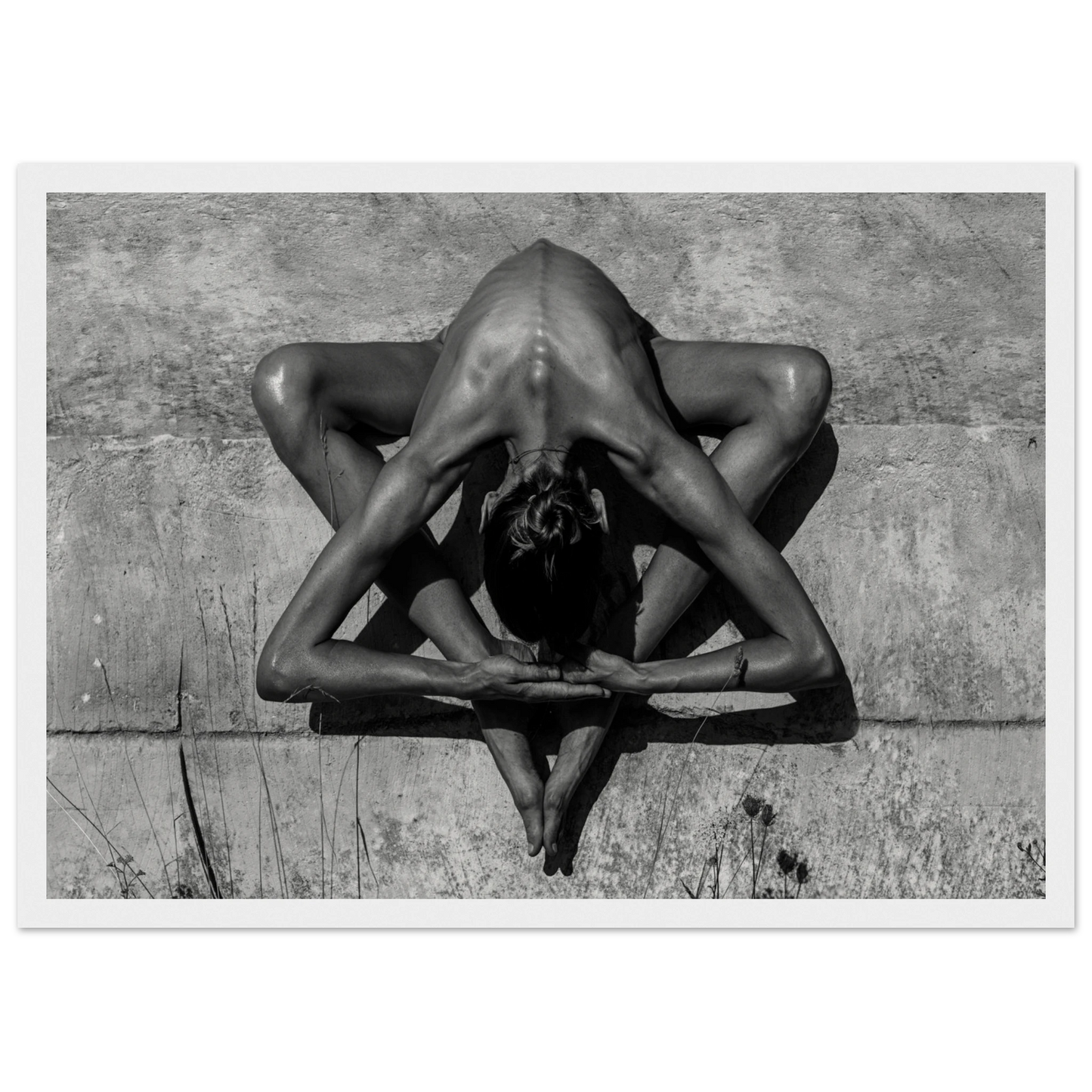 74d00869-1ce7-4d06-bd3e-176ec811adc4