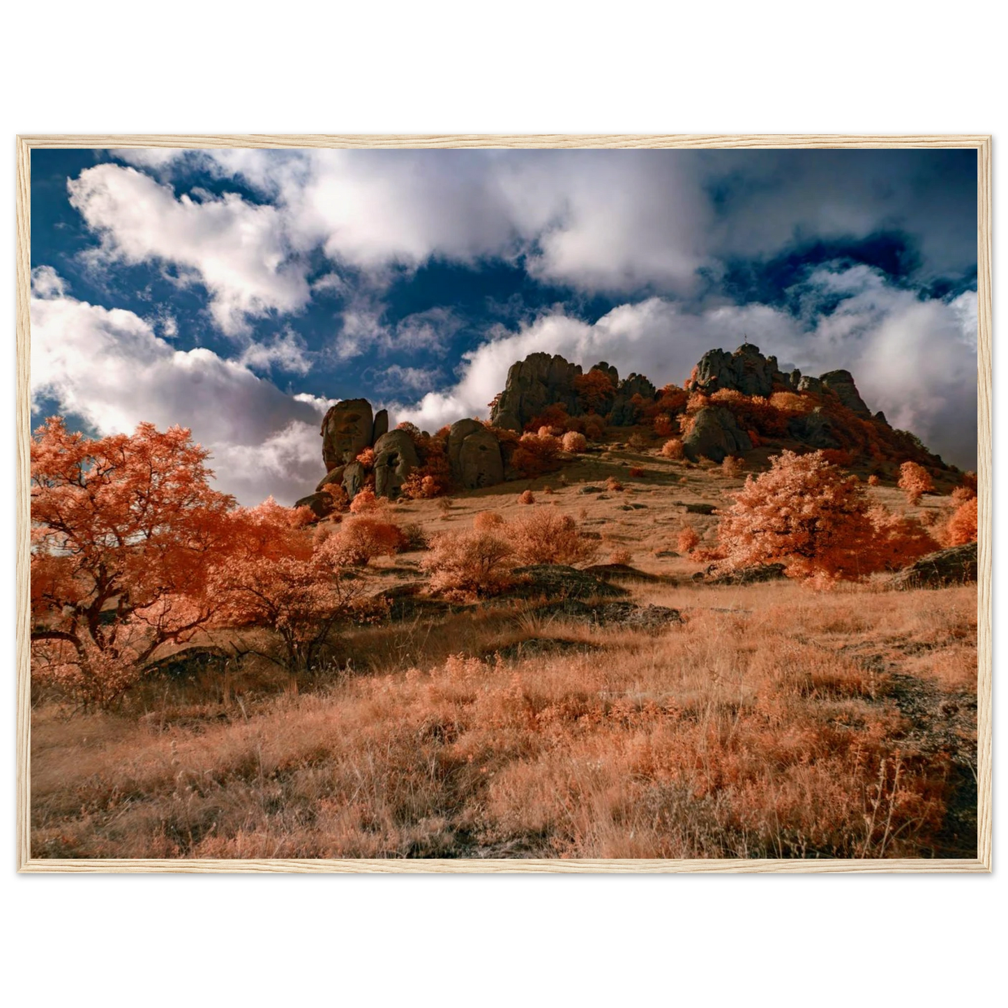 75afb5de-5223-4dc9-b33e-1fe582380139