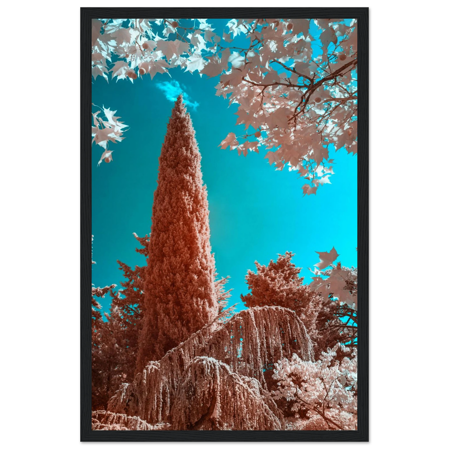 76365770-c144-4da9-b9f2-6b29cb279579