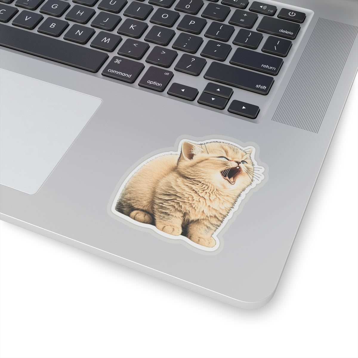 Kiss-Cut Sticker of cute funny golden chinchilla cat kitten  for your collection