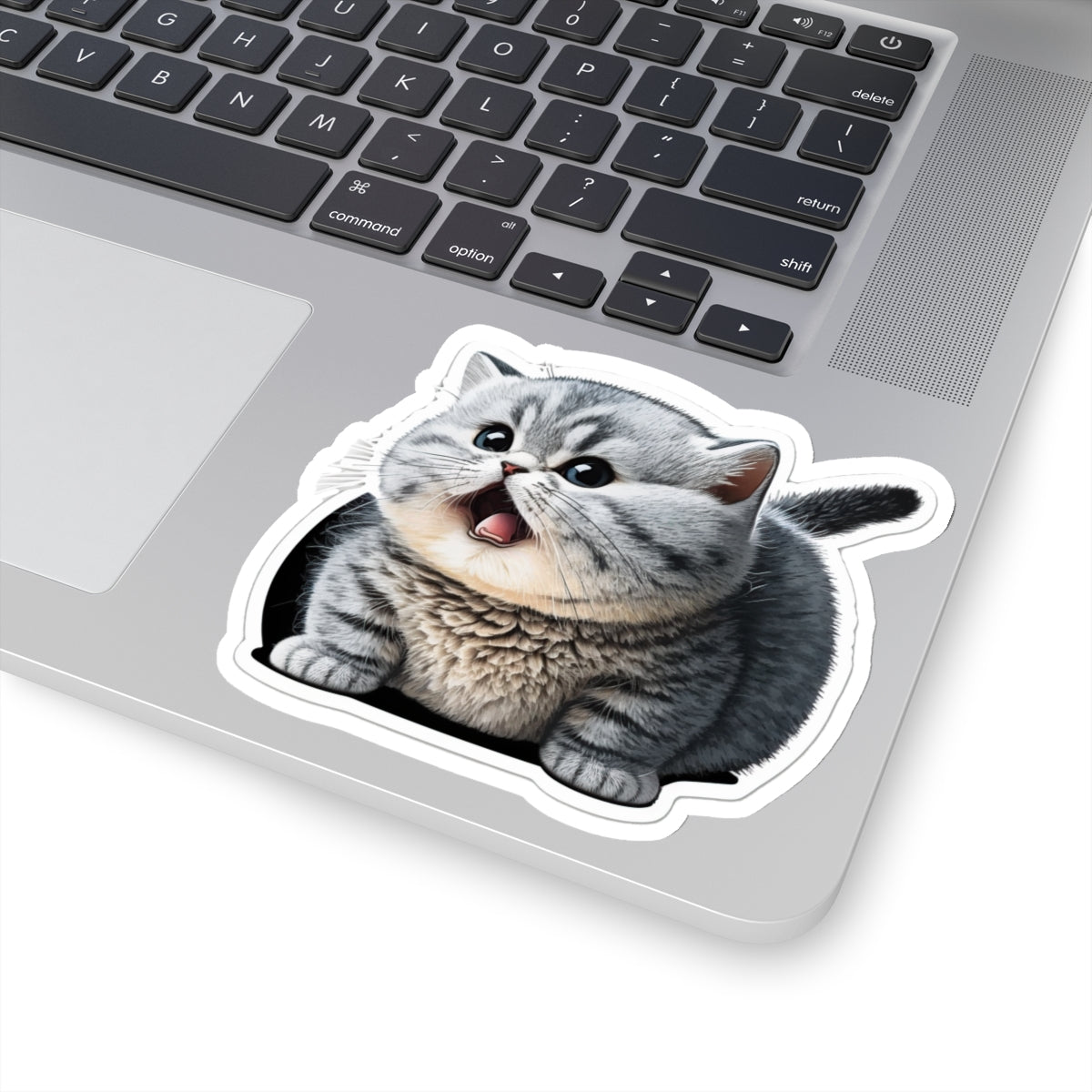 Kiss-Cut Sticker of cute funny burmilla cat kitten  for your collection