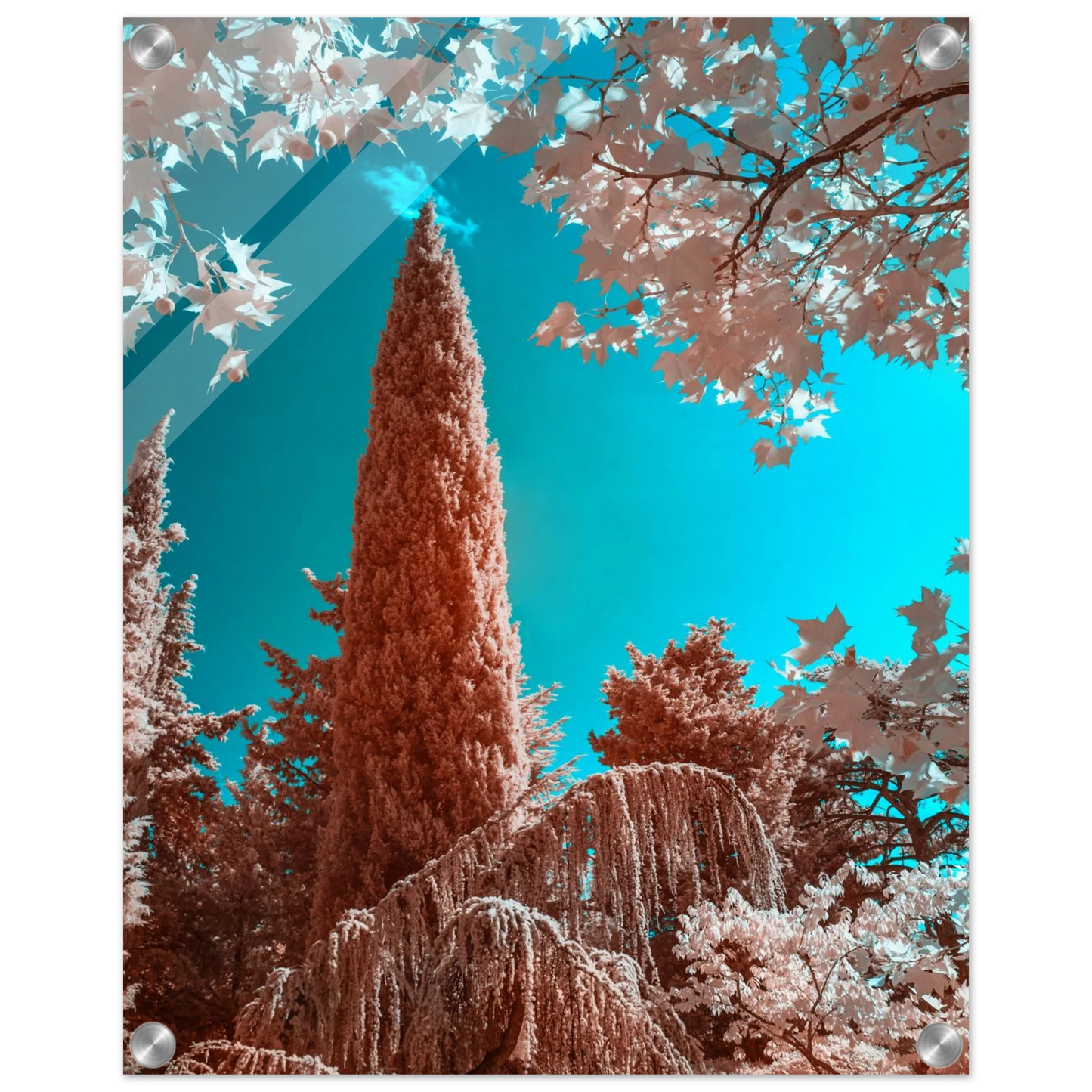 77cbff89-3f47-4494-8c0f-6356d7fb05b5