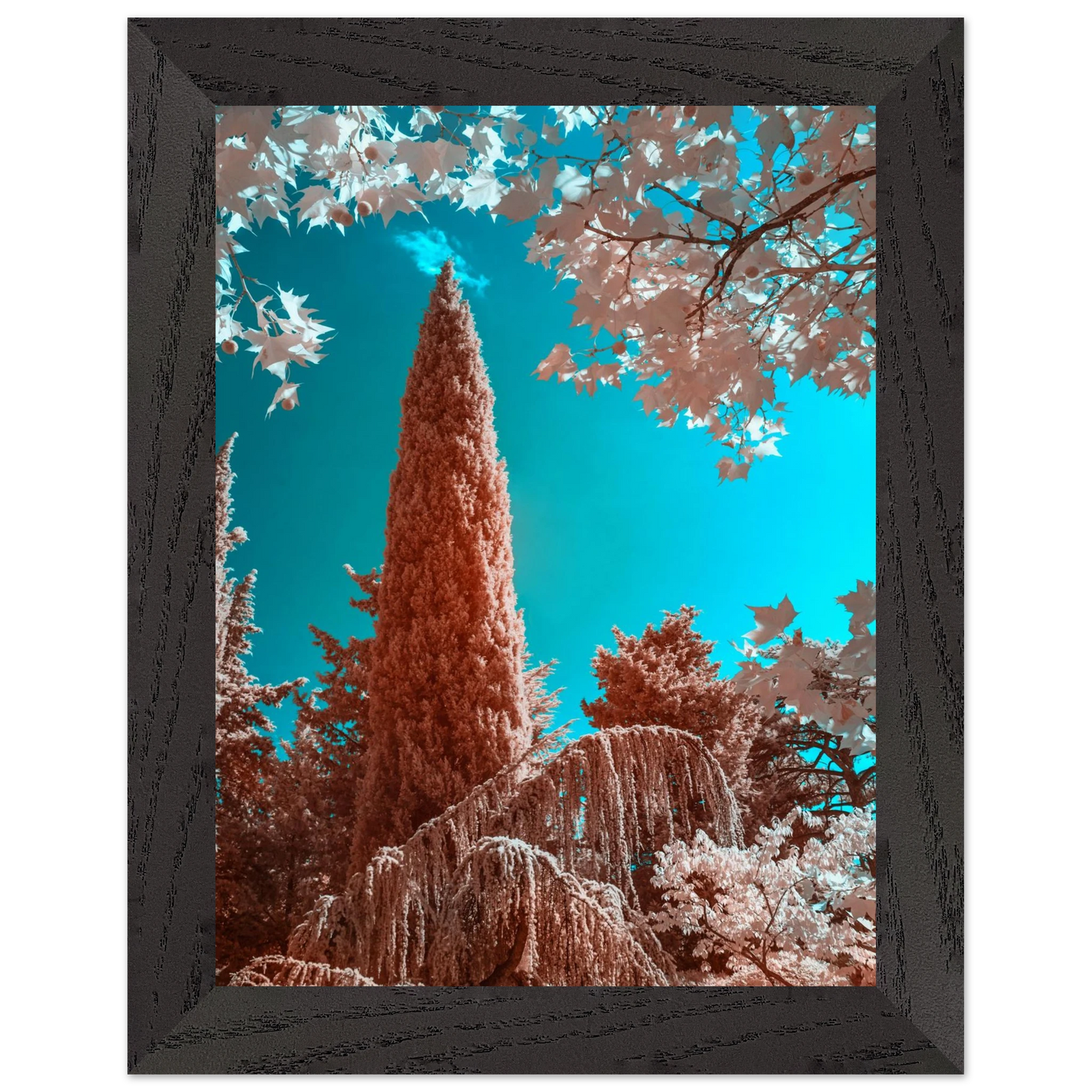 7863036c-9c67-456a-a246-4e5eb0b37a6e