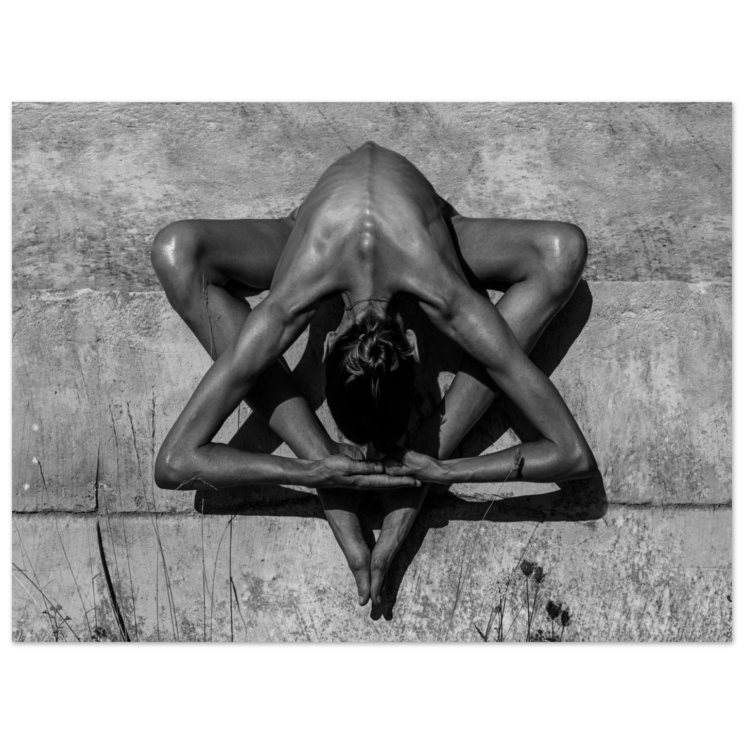 79cdf023-8cfd-4f6a-8bd9-dd0665064f61