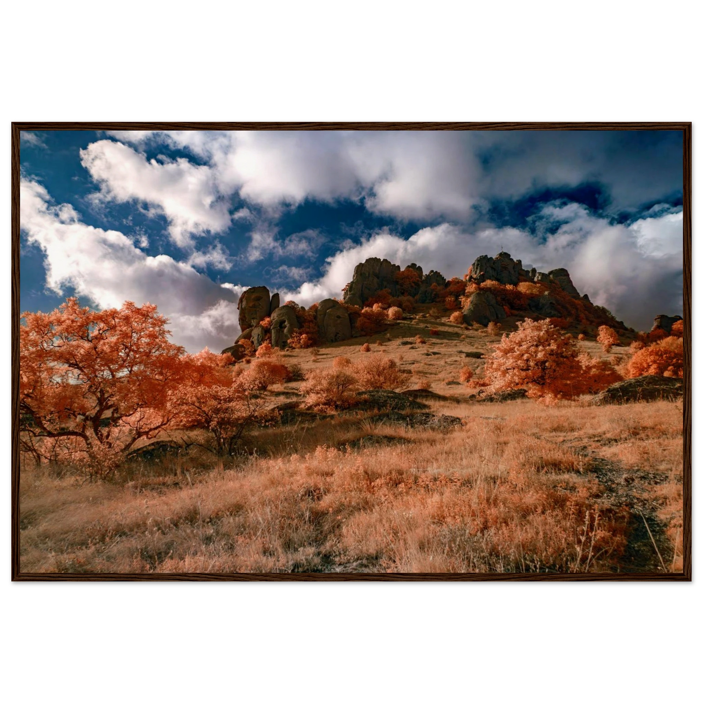 79d90fb8-a192-48a4-afa9-6863abbc3ebd