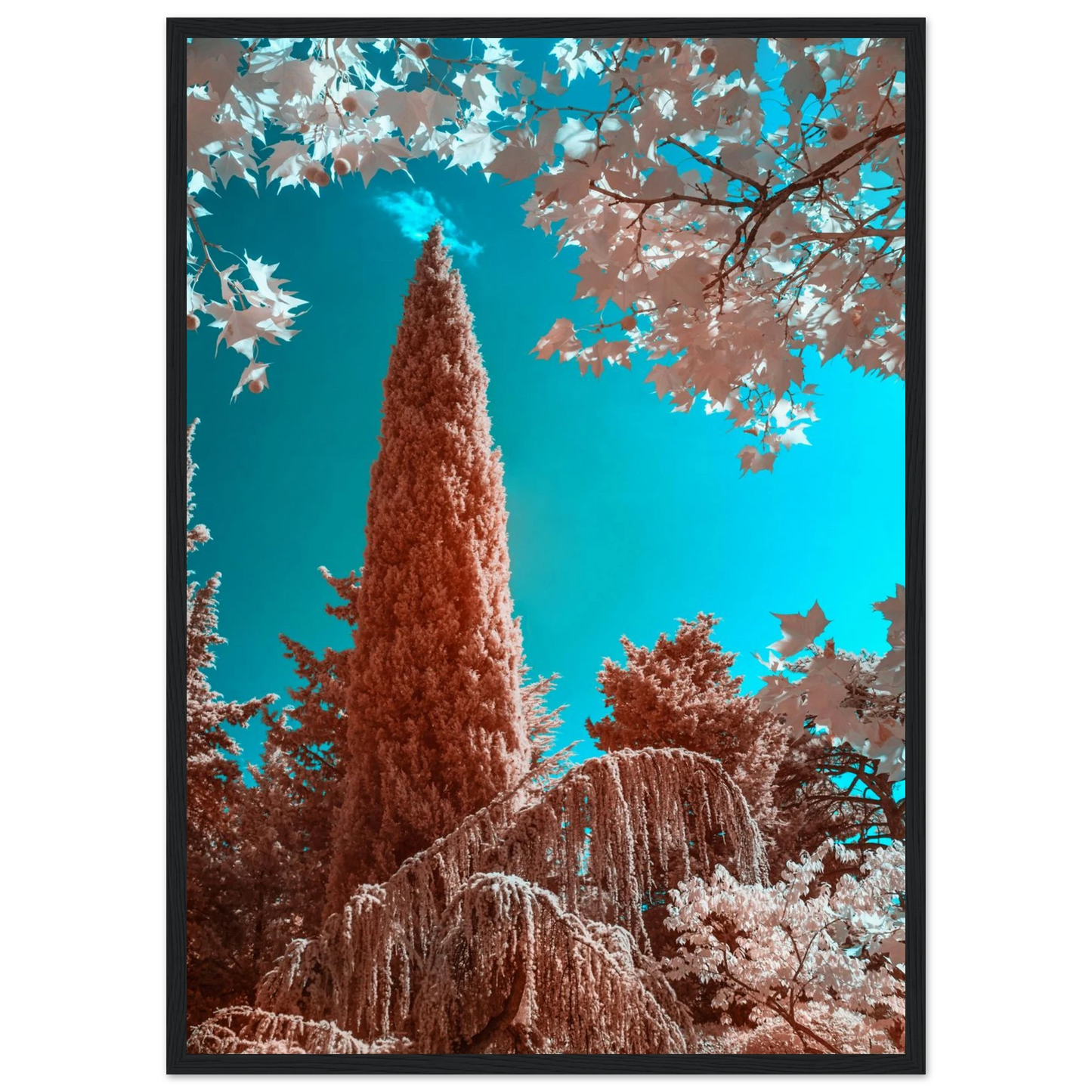 7d5d9118-a70b-40b5-8a45-c4c517ec76da