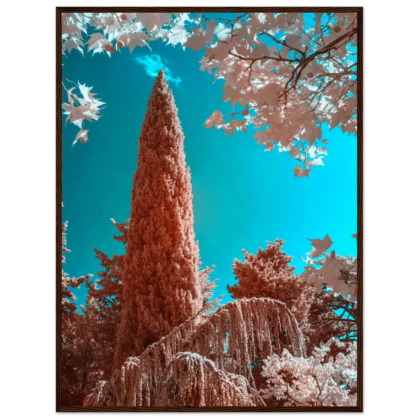 7ea925ce-4798-45c4-b1c3-a46149c55ed8