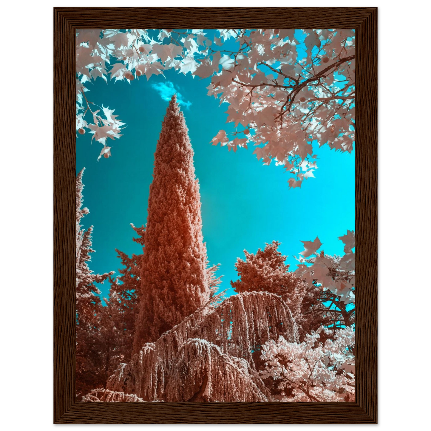 7eea3378-2195-4fbd-8b24-55ca2d501cd1