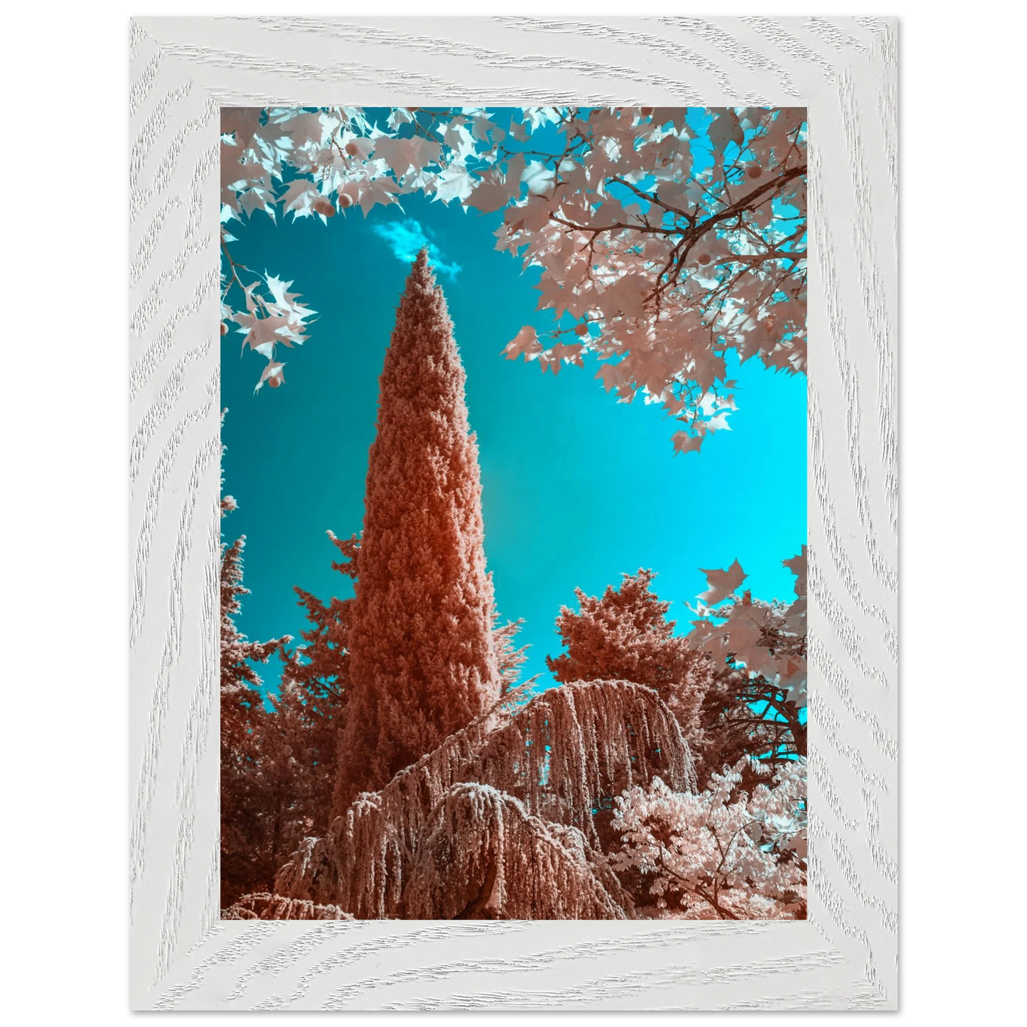 7faa31ad-835e-45e2-8950-d166c3ad1a64