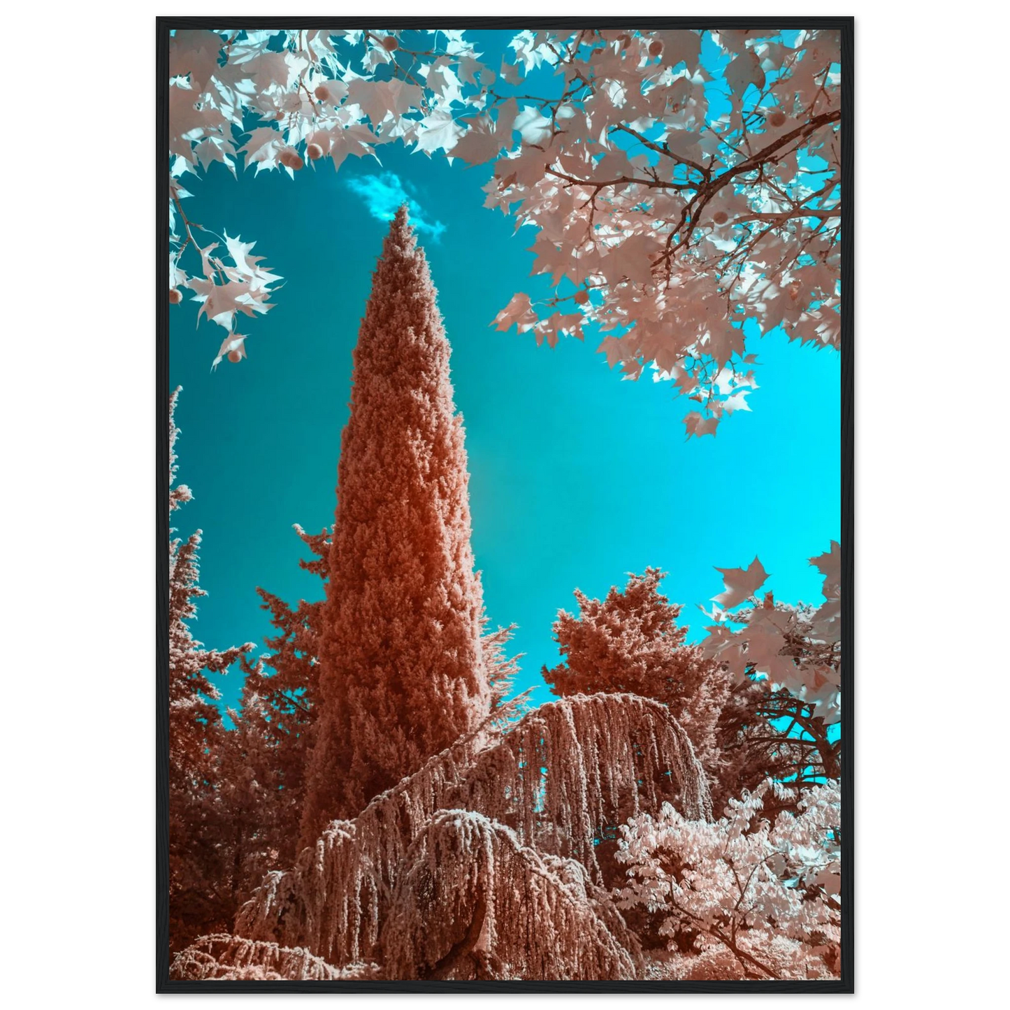 7ff3a3df-0752-4621-b964-17d3e4639af1