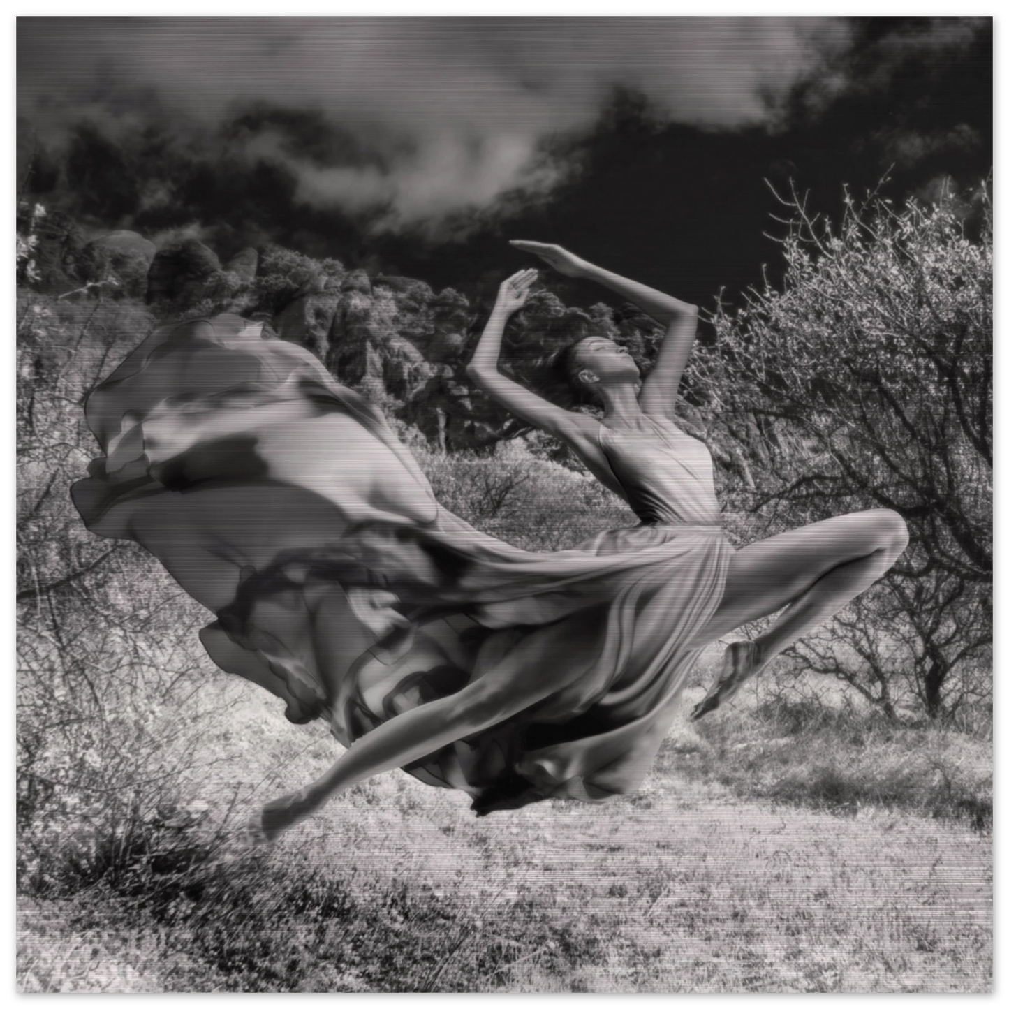 810d6112-34d9-4a82-9784-3bd70ab286a7