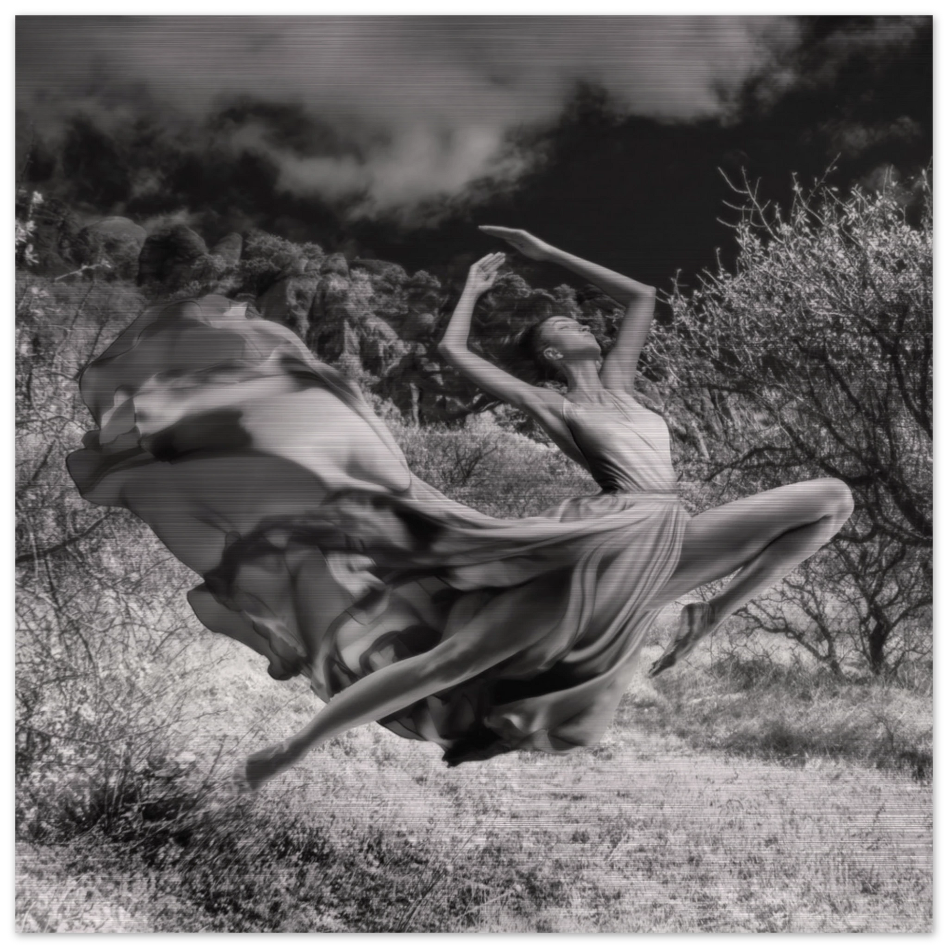 810d6112-34d9-4a82-9784-3bd70ab286a7