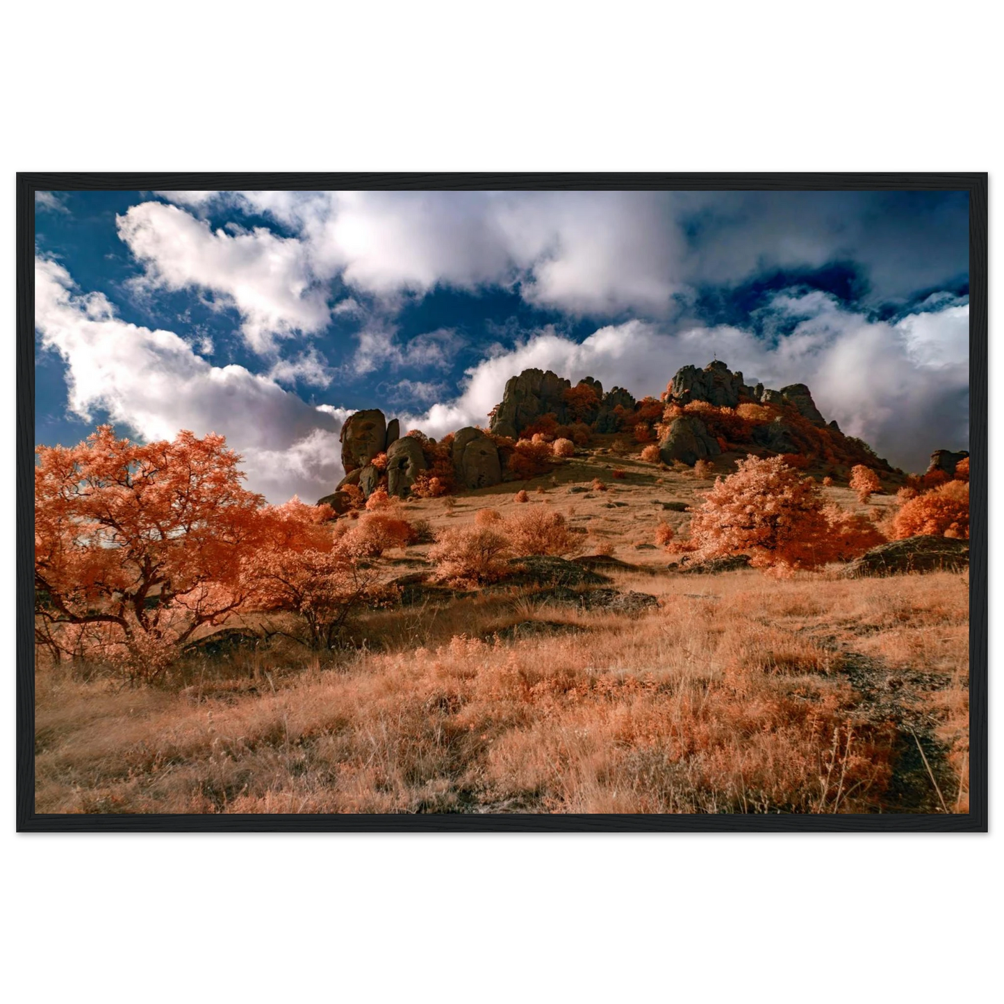 81353224-8abd-48f9-acb7-843675a2b929