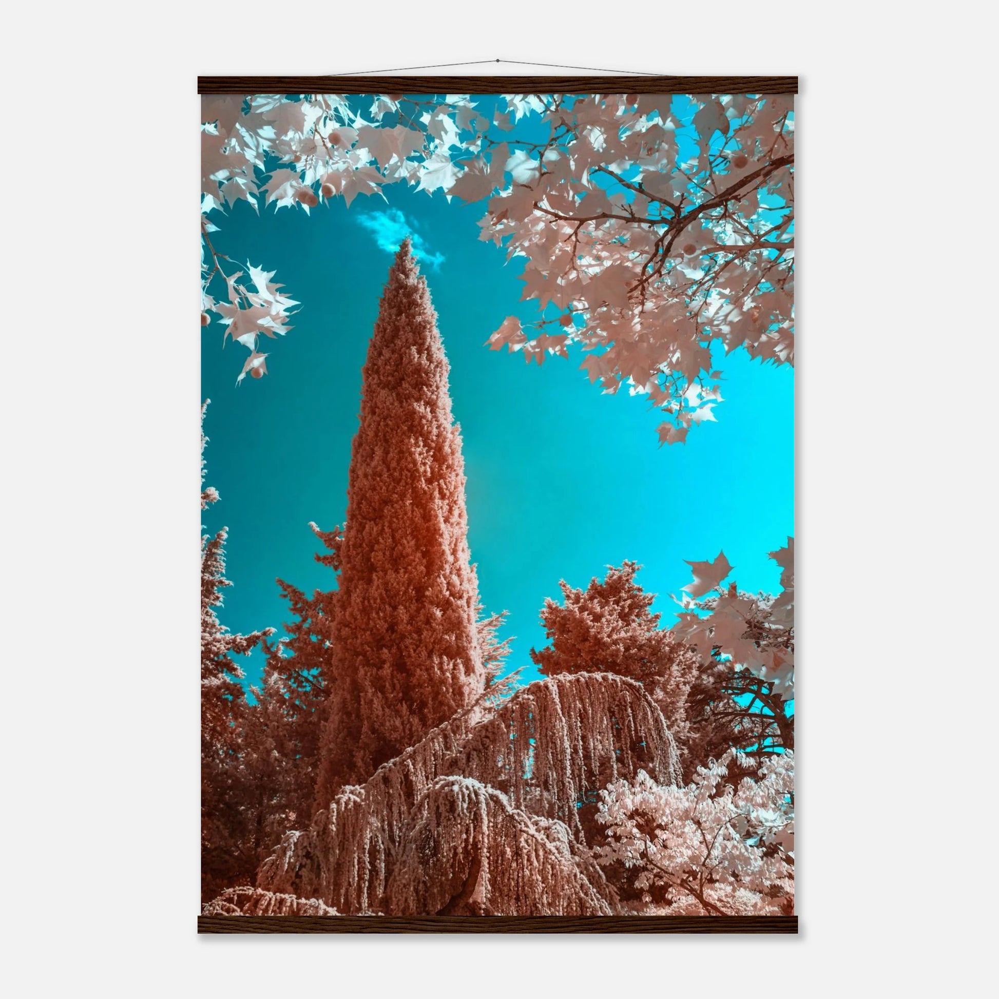 82593fc0-f323-4413-90c8-8492851d3ee1