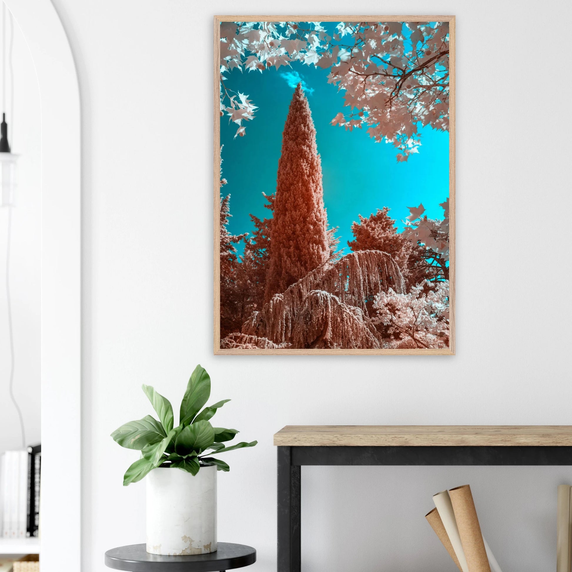 82ba88df-ac66-42f6-9f04-01637f6113cf