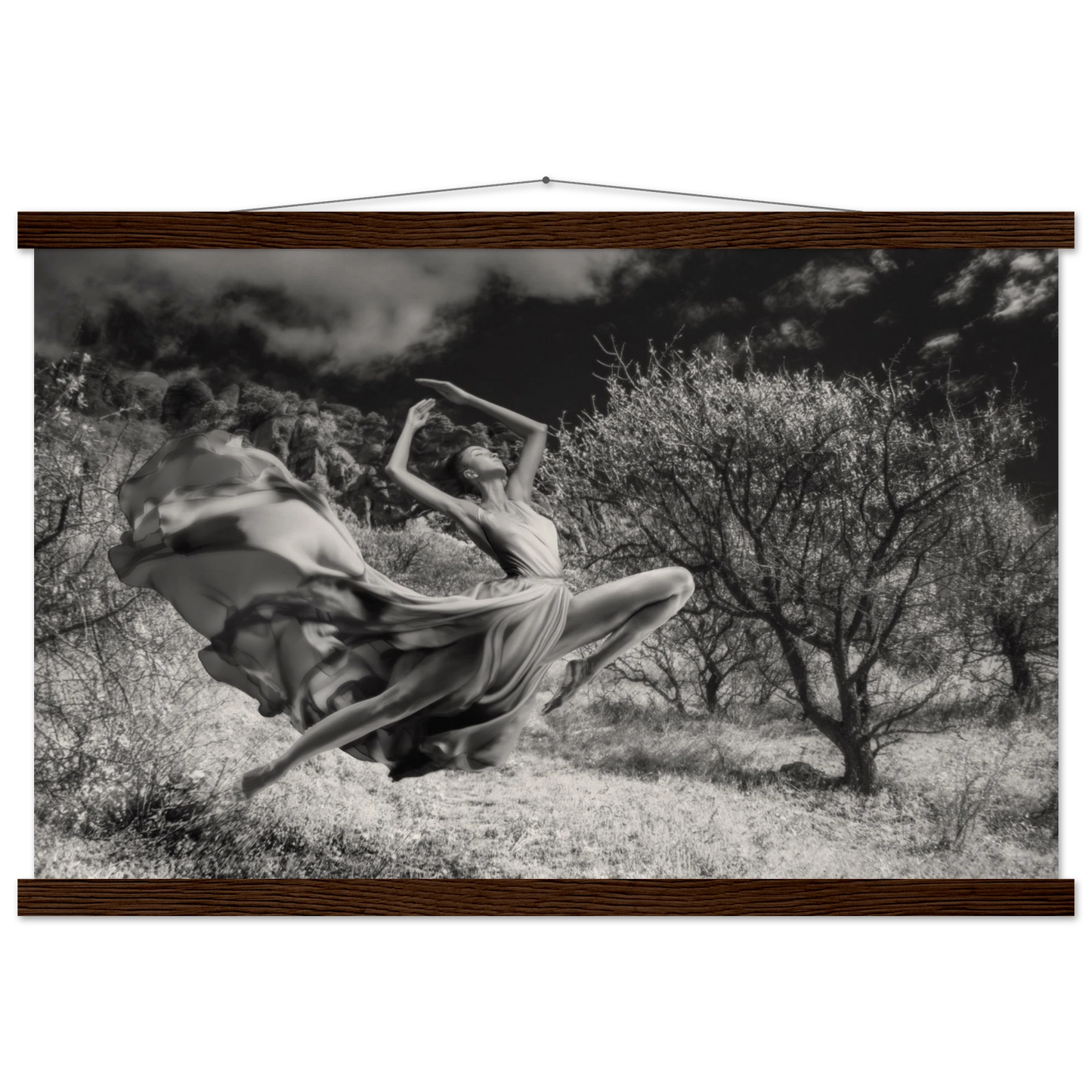 8390593a-cf38-46e9-88e5-de2c5db917a0