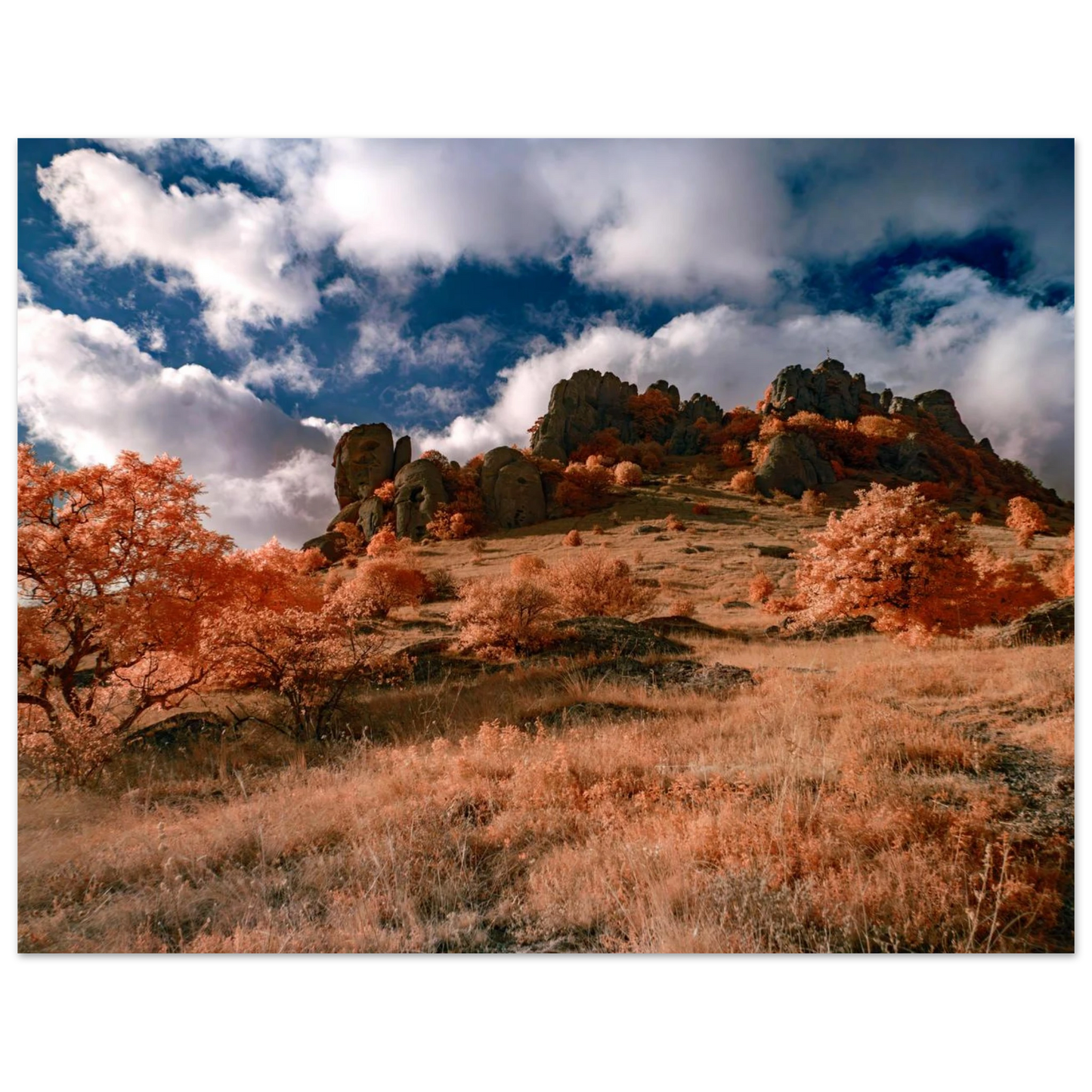 839bf92a-77c2-4553-940a-7a9730175487