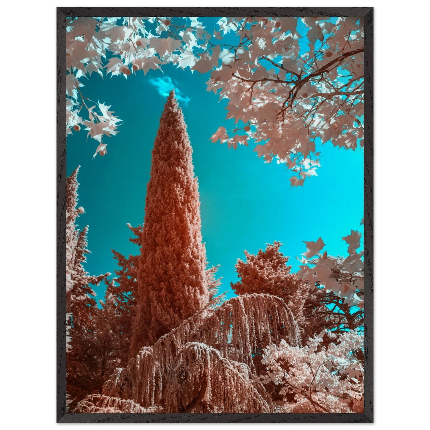 83d78777-d6e4-46ab-a08d-68dacbd554e5