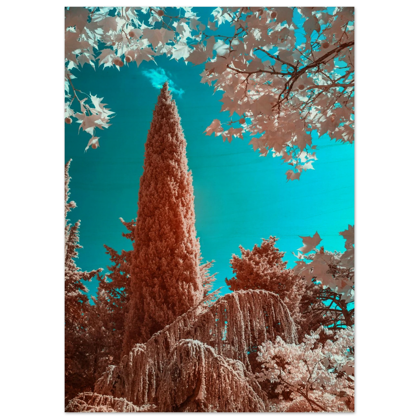 8454c448-85d8-4a45-ac9d-b17dca16cd7c