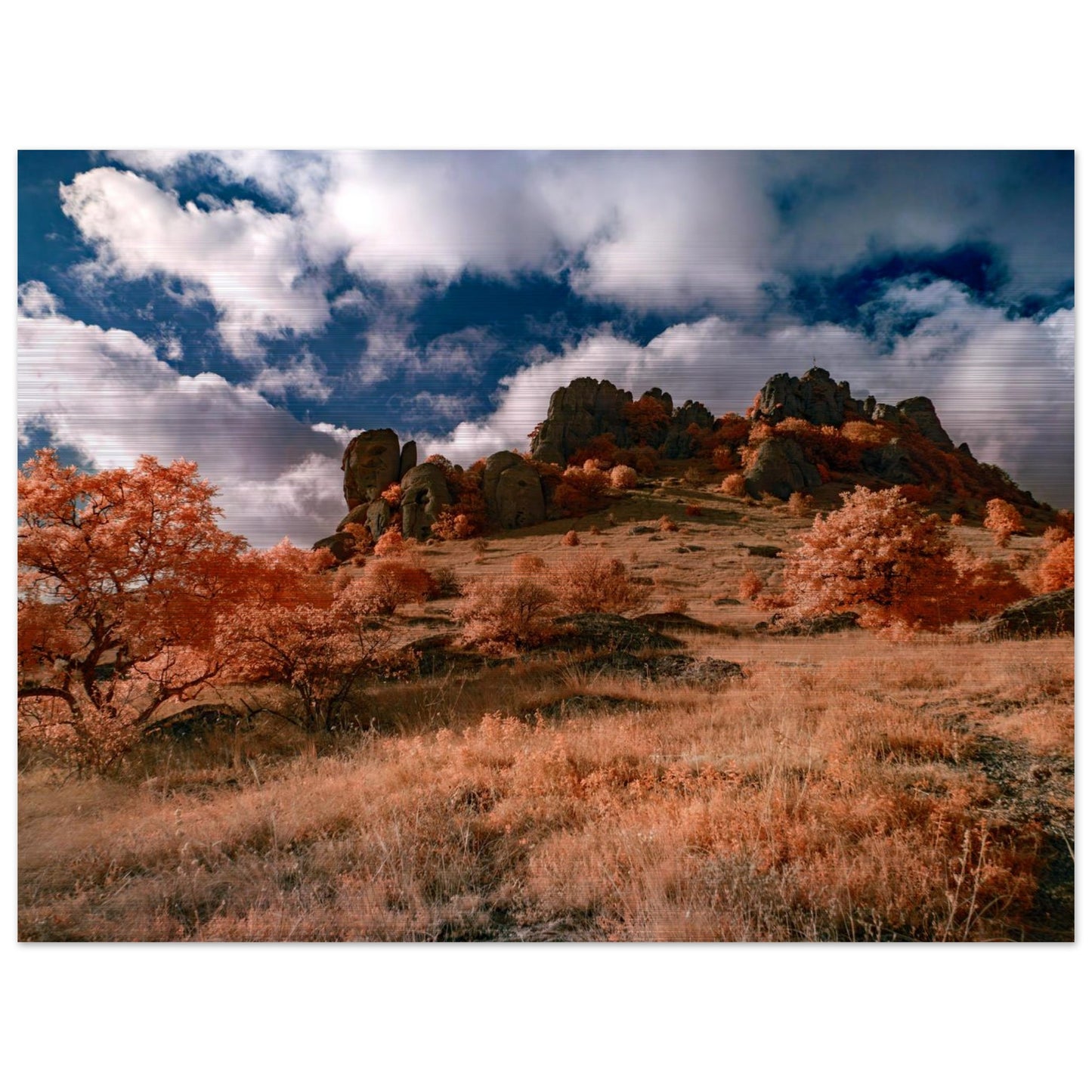 84ece008-326e-456b-bdde-84cb6cfcb9b9