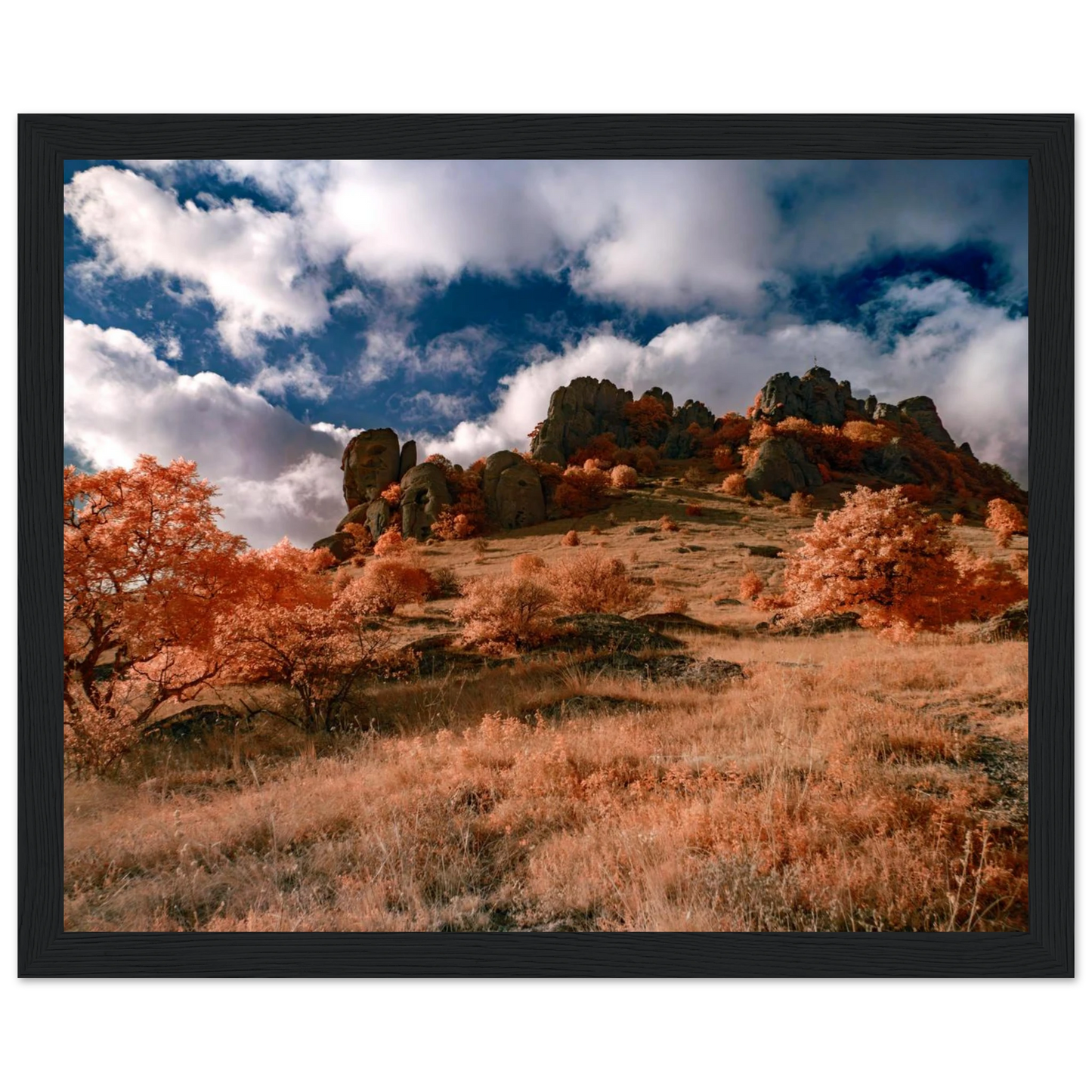 87d05ec7-dda1-4762-8661-6b75589d2858