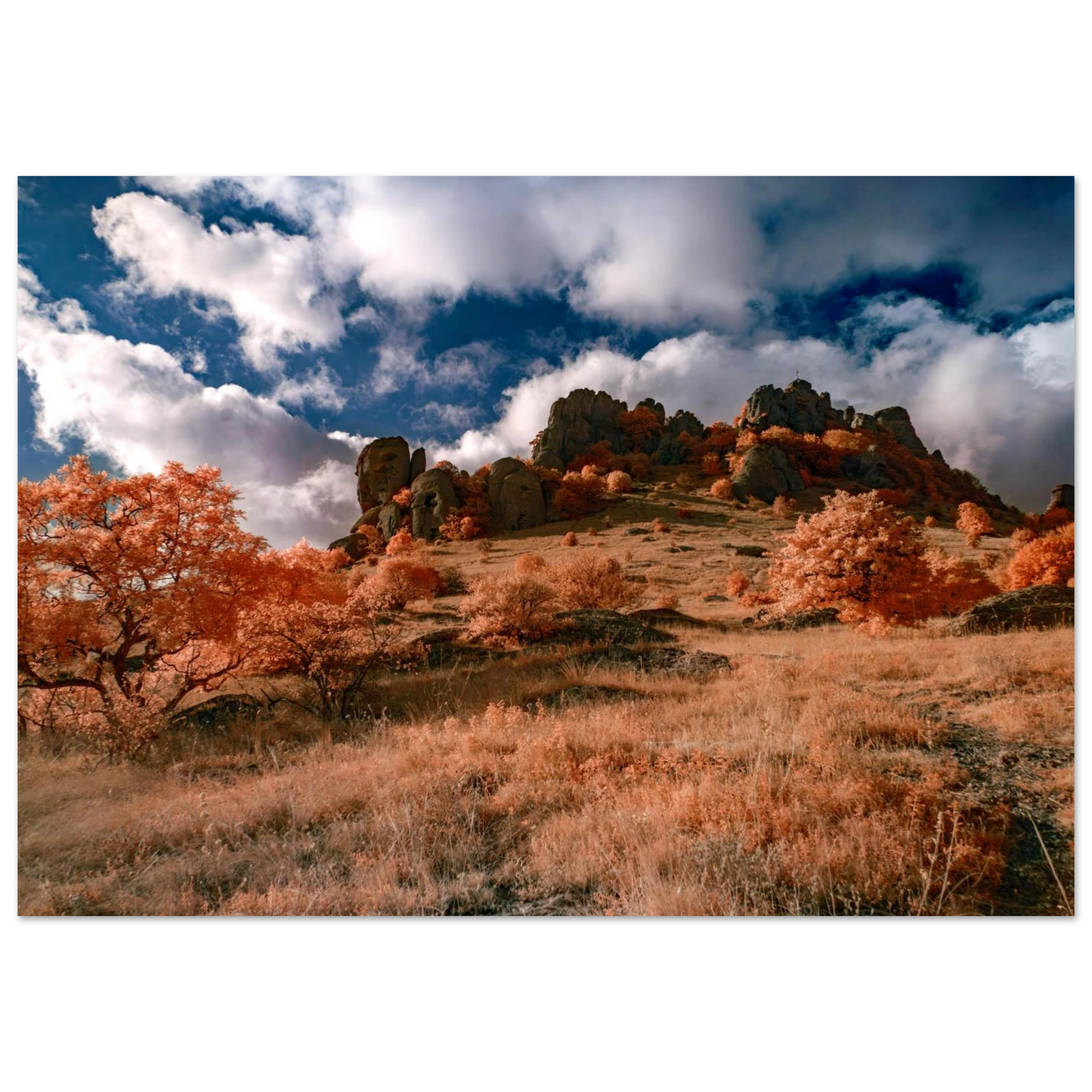 880ff2b1-d86c-4284-b5fd-757b52b3a1dc