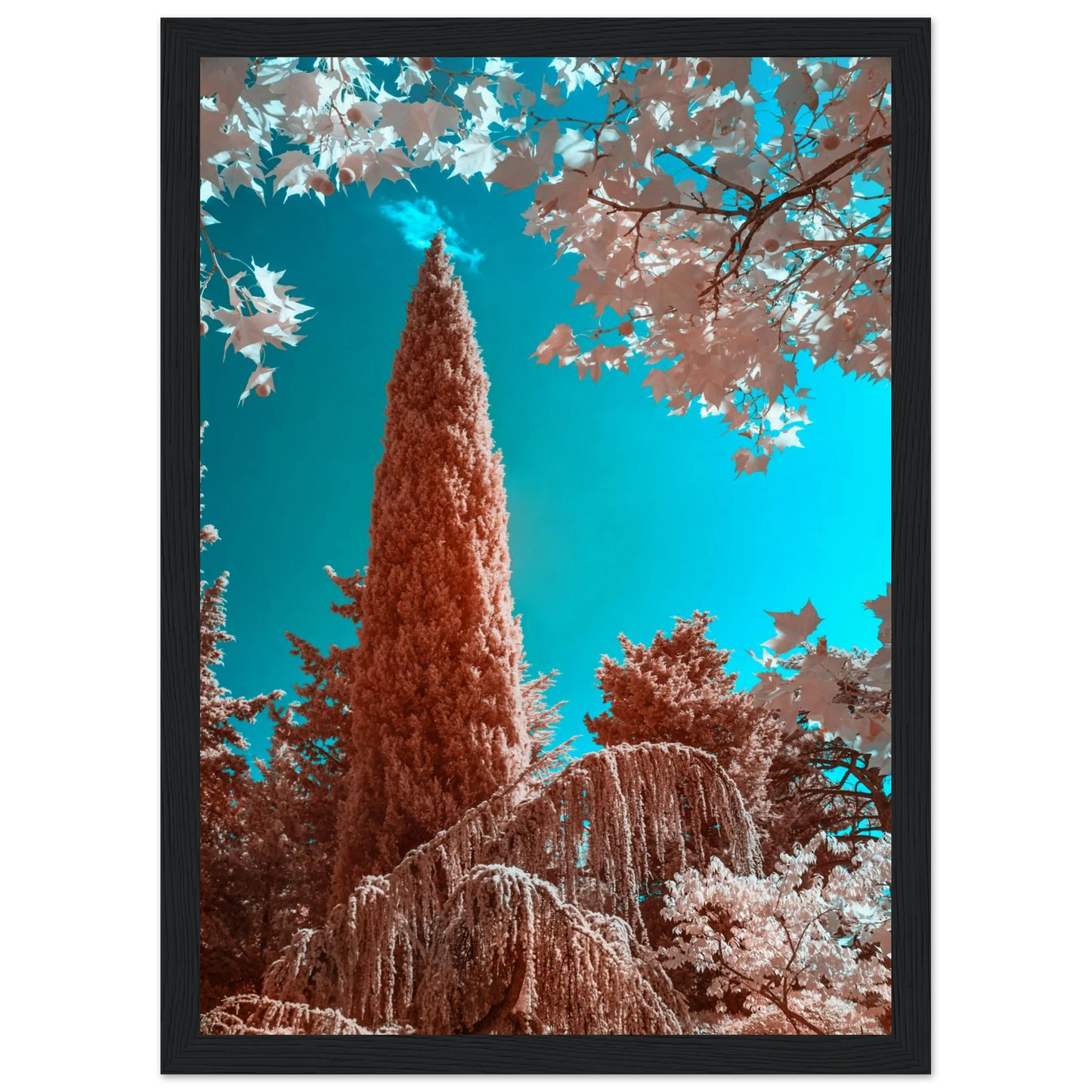 89c9be84-3d74-40eb-aaf0-f54a3460fb20