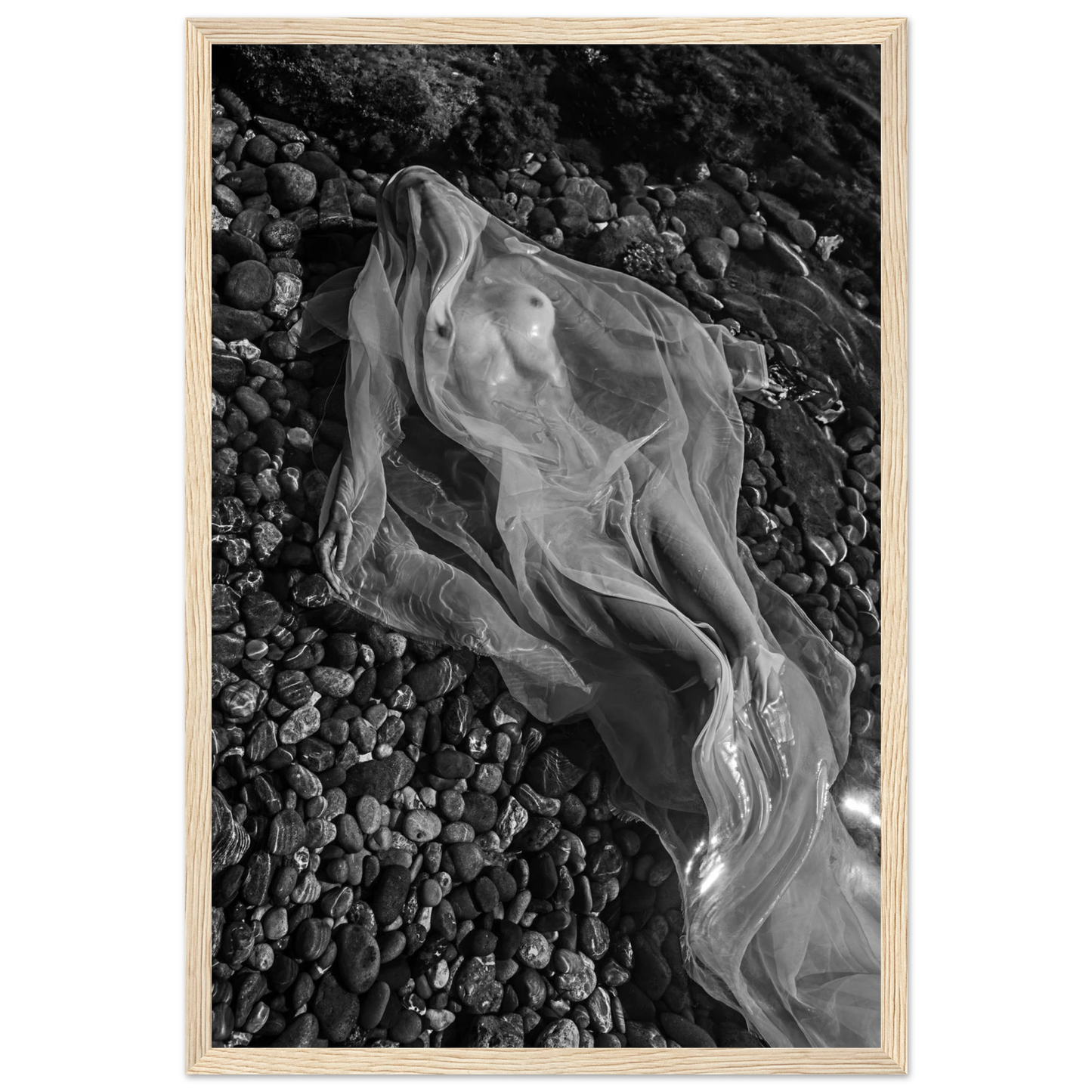 8b0469aa-ff51-4e75-85d9-333c8162478c