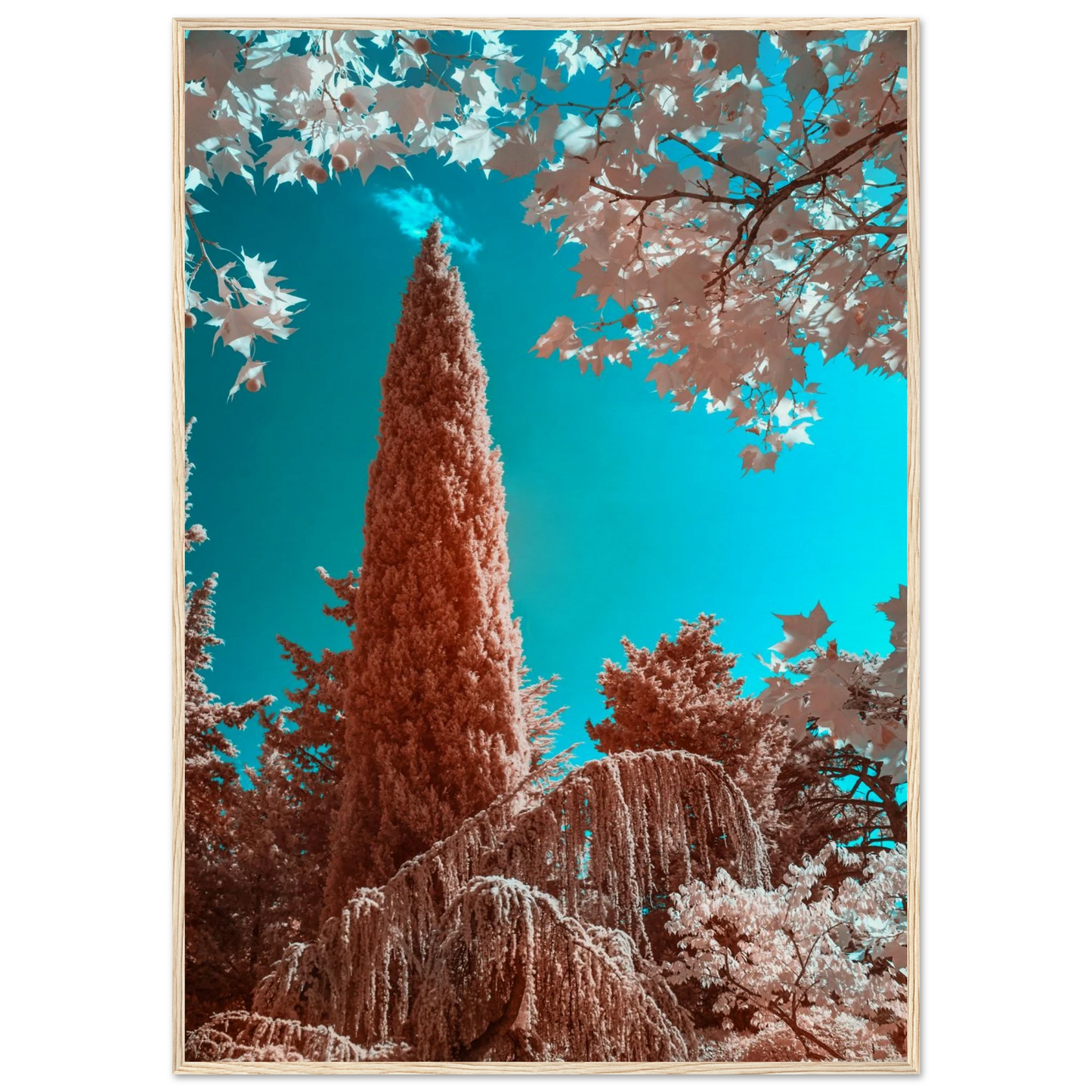 8b6924cf-cddf-416e-b6e1-bd1eadf58365