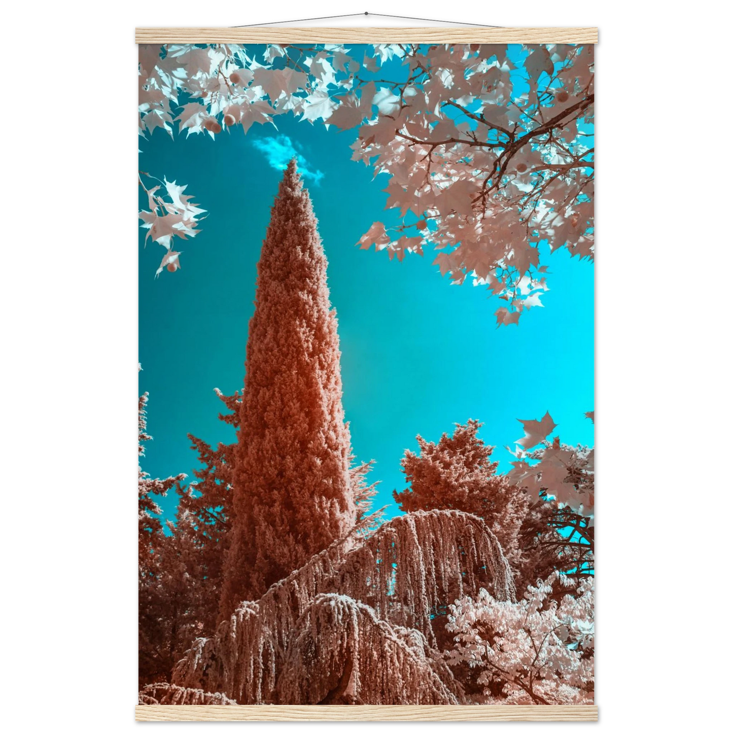 8ba3855e-1d2c-4524-99f1-a2c3ded6d1bc