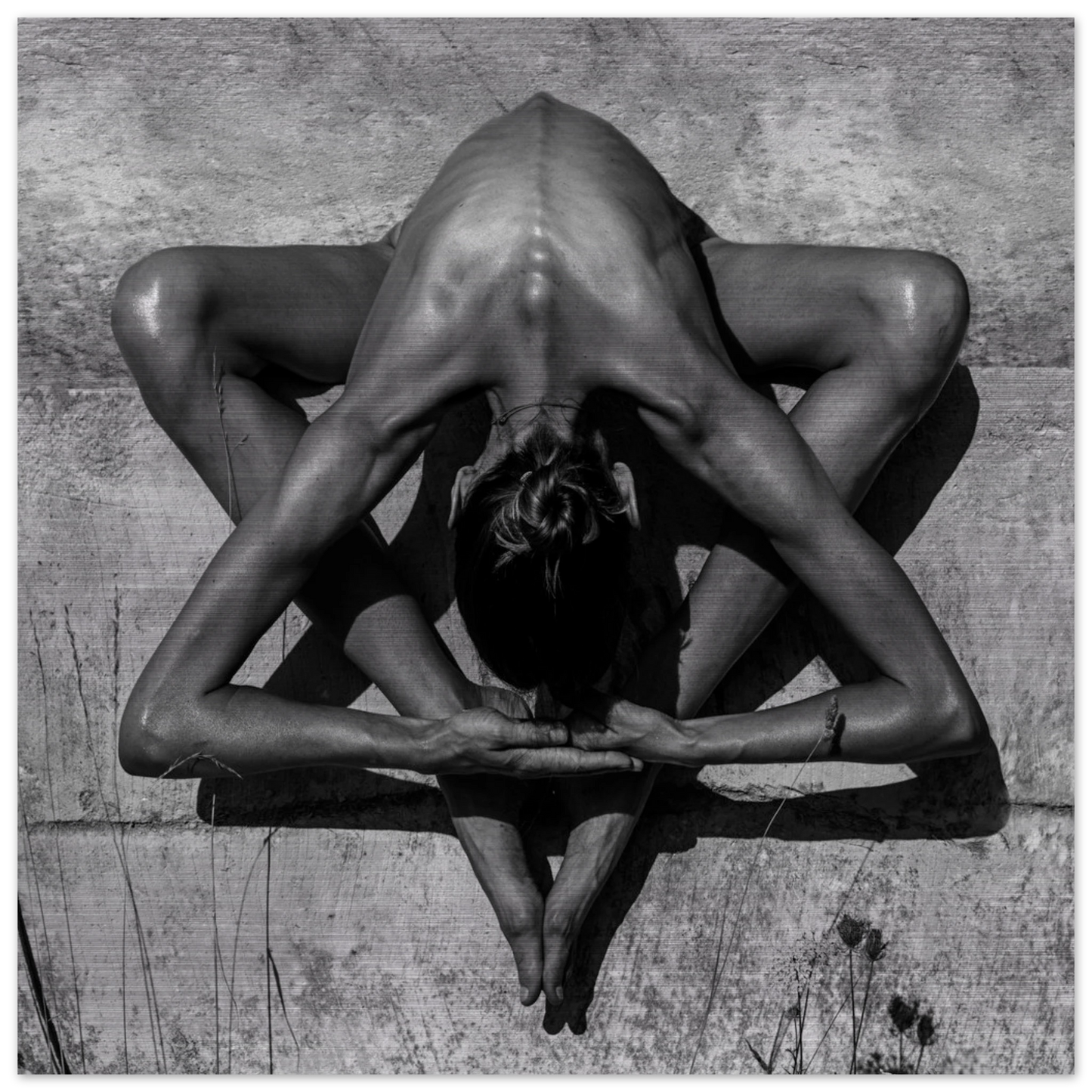 8c53c26f-8276-4c65-9650-822835a05e23