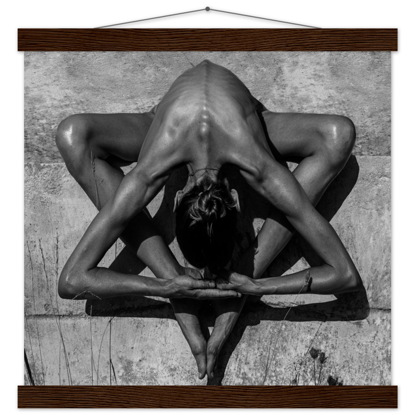 8ca29959-7906-46a7-ae31-da7ce2fab115