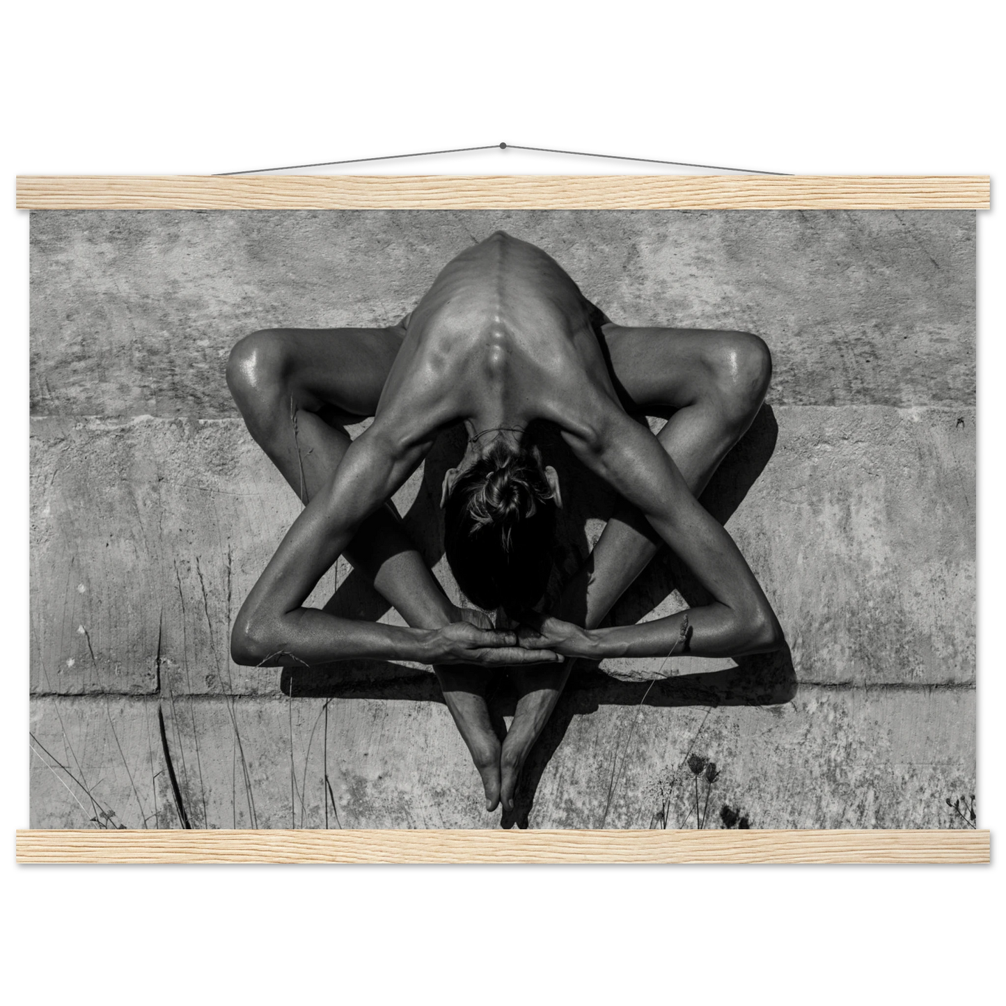 8d6607bb-7925-4e6a-9a42-fd1bf2edb996