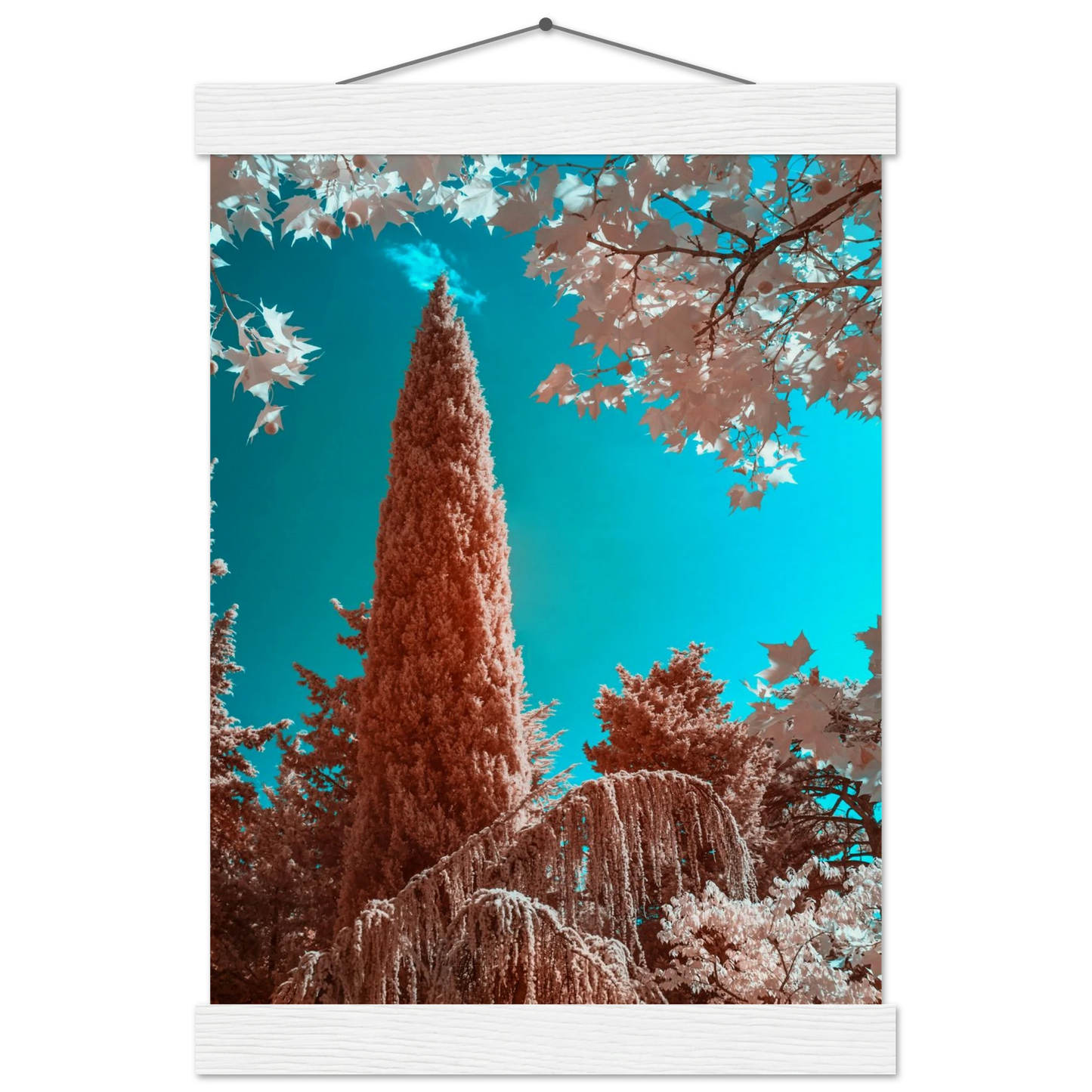 8e262ab4-d2b8-47bb-b748-1982473221f3