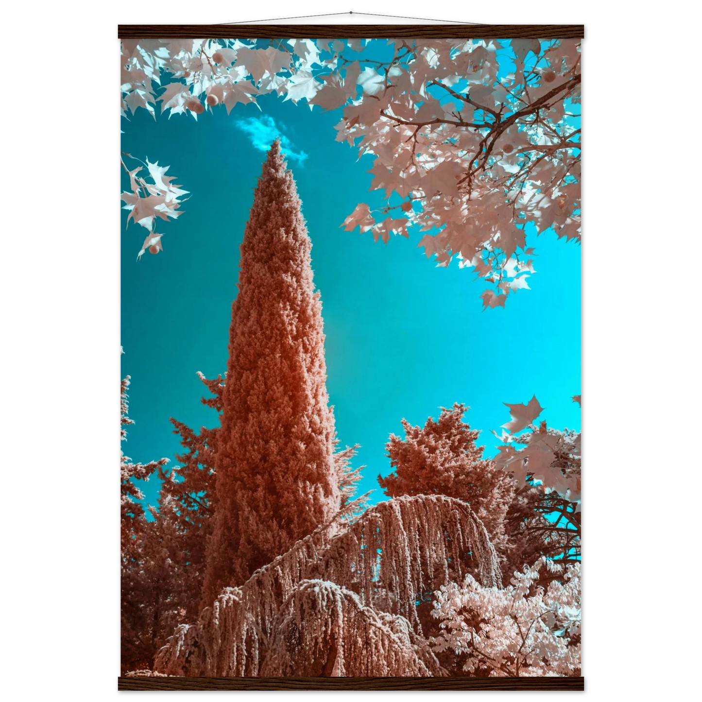 8ecacad0-b5e0-436c-9404-fe5a5501b606