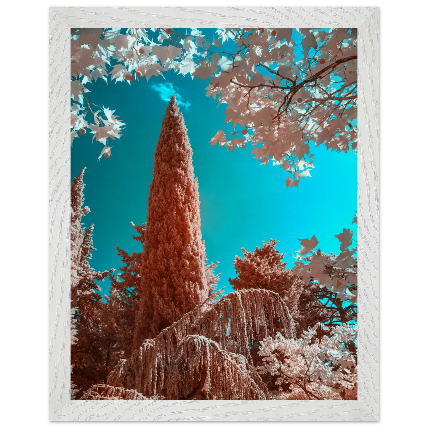 8f718500-5fc1-44ae-a5e5-36903d058a60