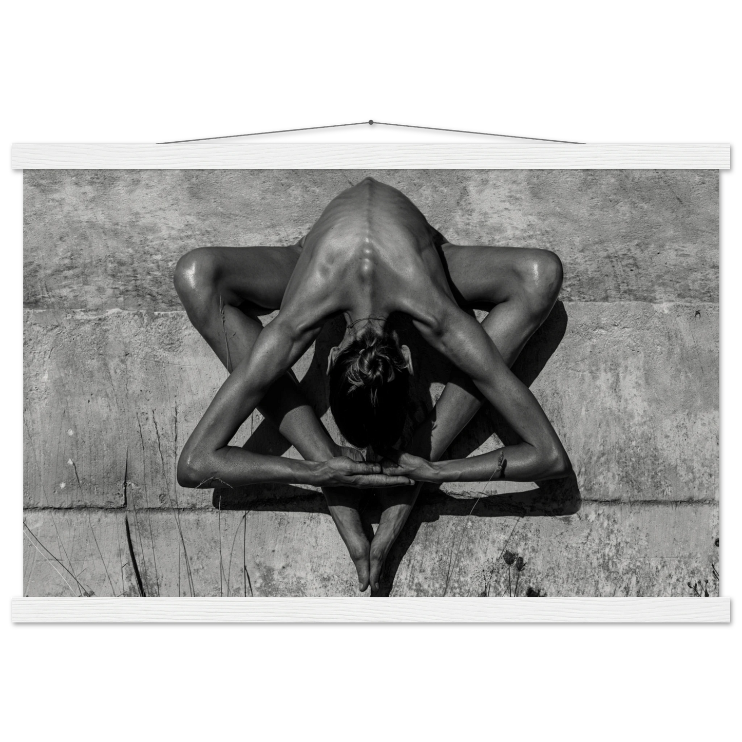 8fe046a6-c178-42c4-8910-21378bad4388