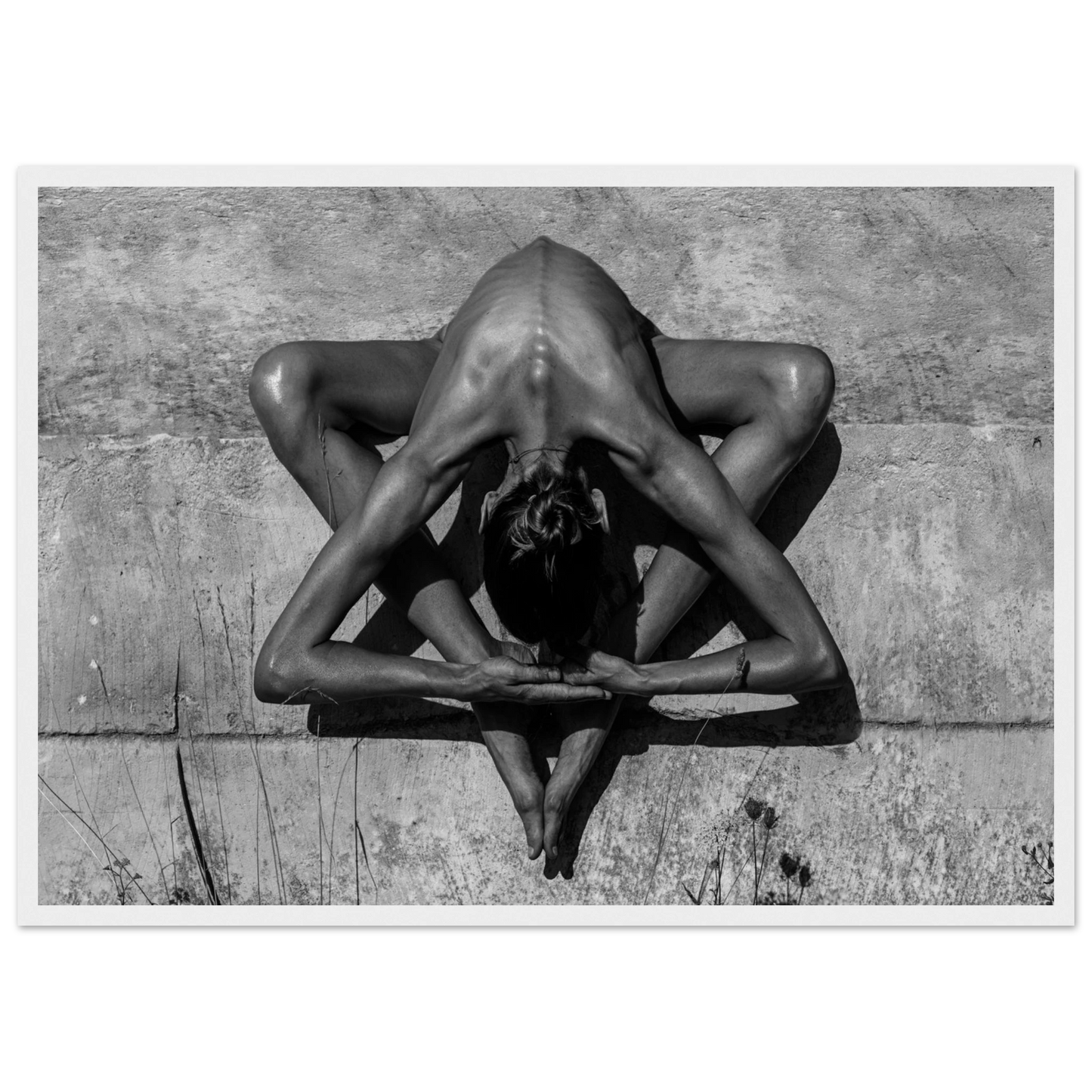 8ff67a5a-bf2d-4817-8508-0a41636f221b