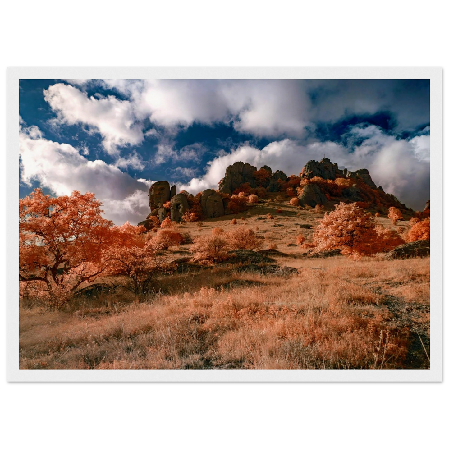 90fe7236-26ae-45e0-a08a-edc6ef4a681c