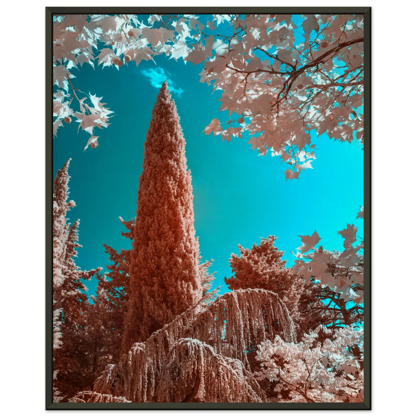 9172ffe4-6d45-4884-b65c-5814b08ddb88