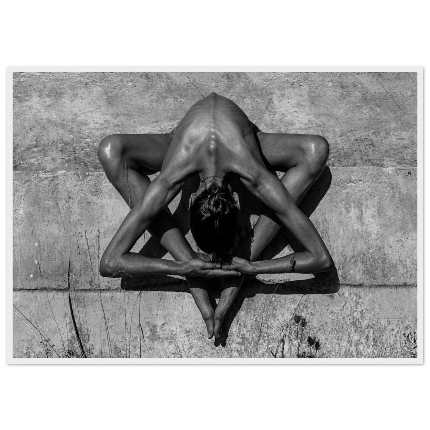 91954579-6463-4ee6-94d8-5144a682f4f3