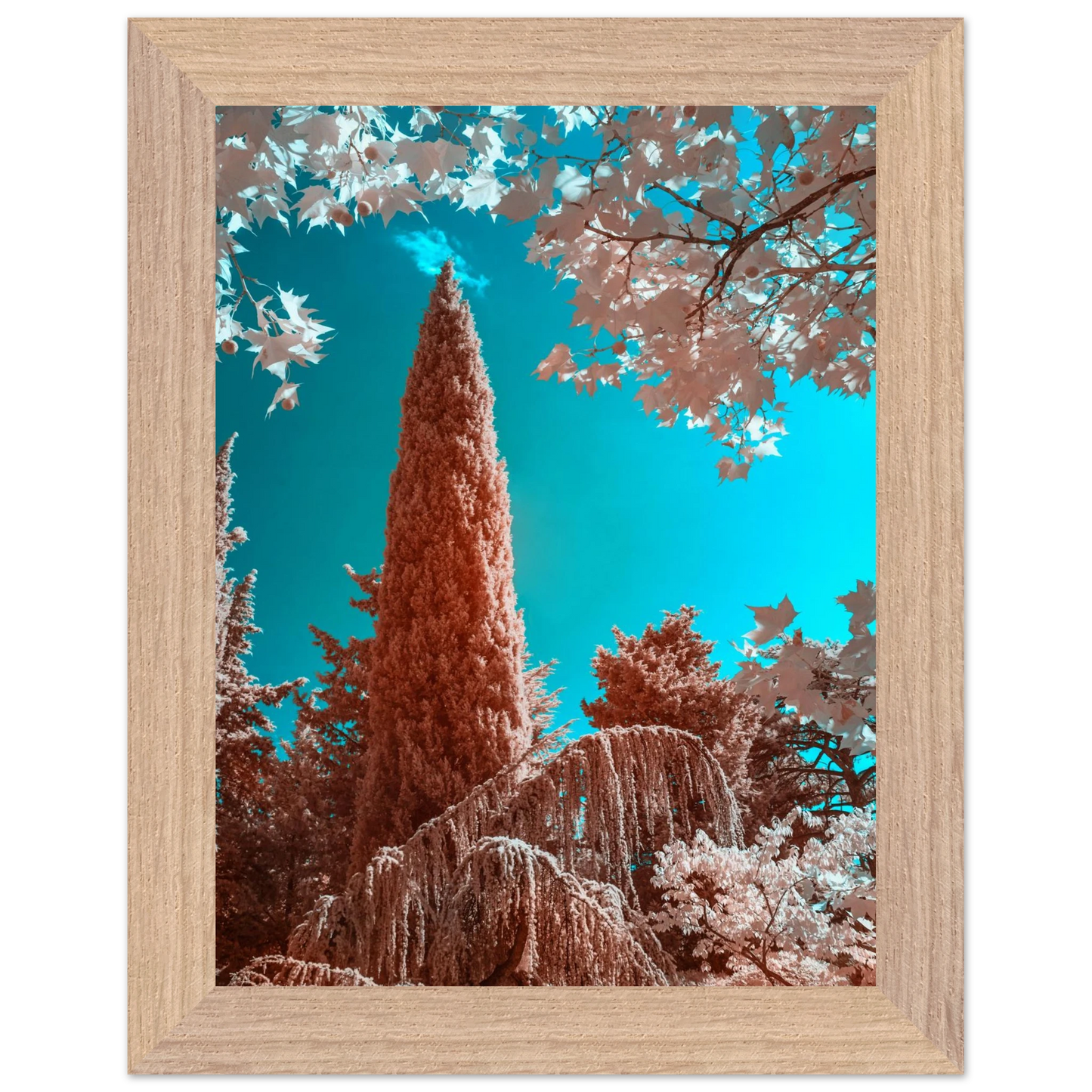 9239a2a4-beb5-4a8a-97a0-26fff643523e