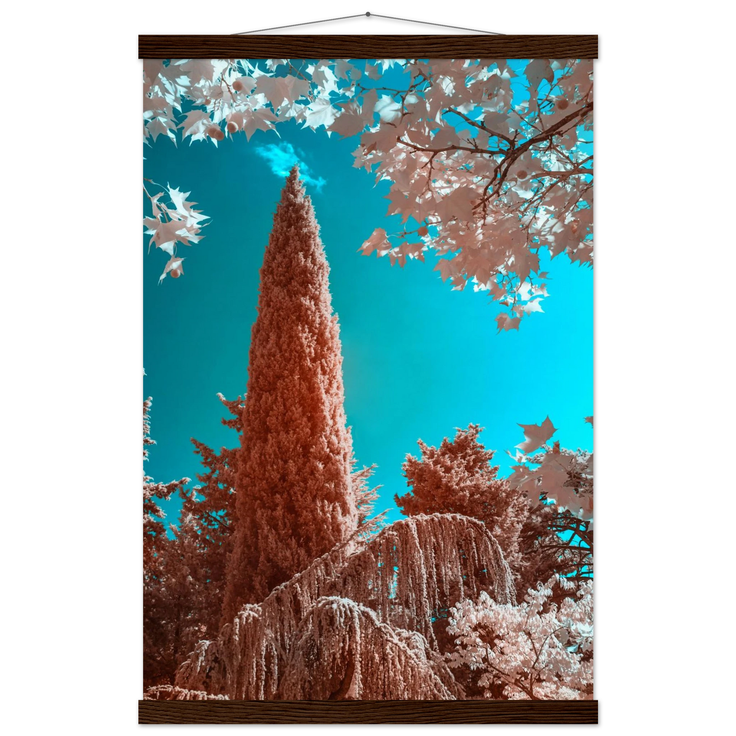 9245f784-b952-43fd-a1a1-0be0fc59f008