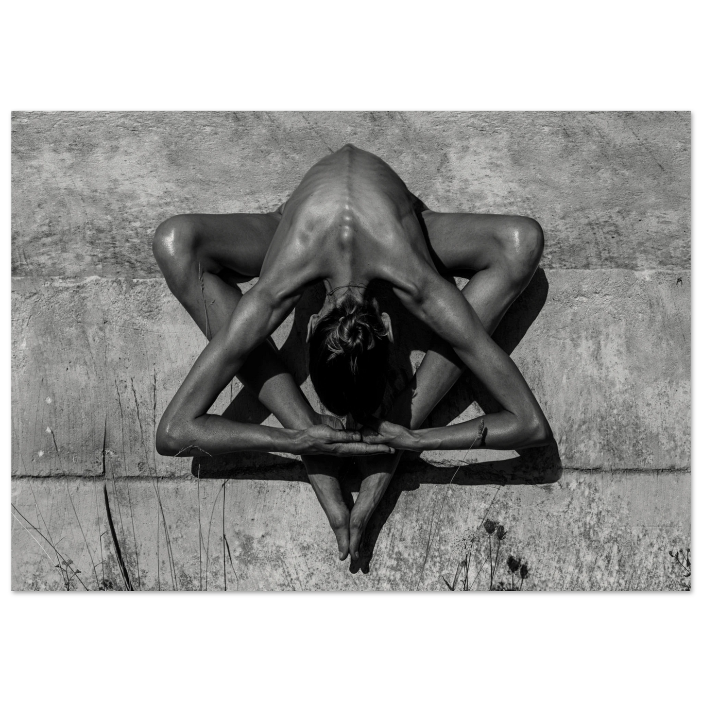 92b4a814-a2a2-4f88-a654-e610bc8aea76