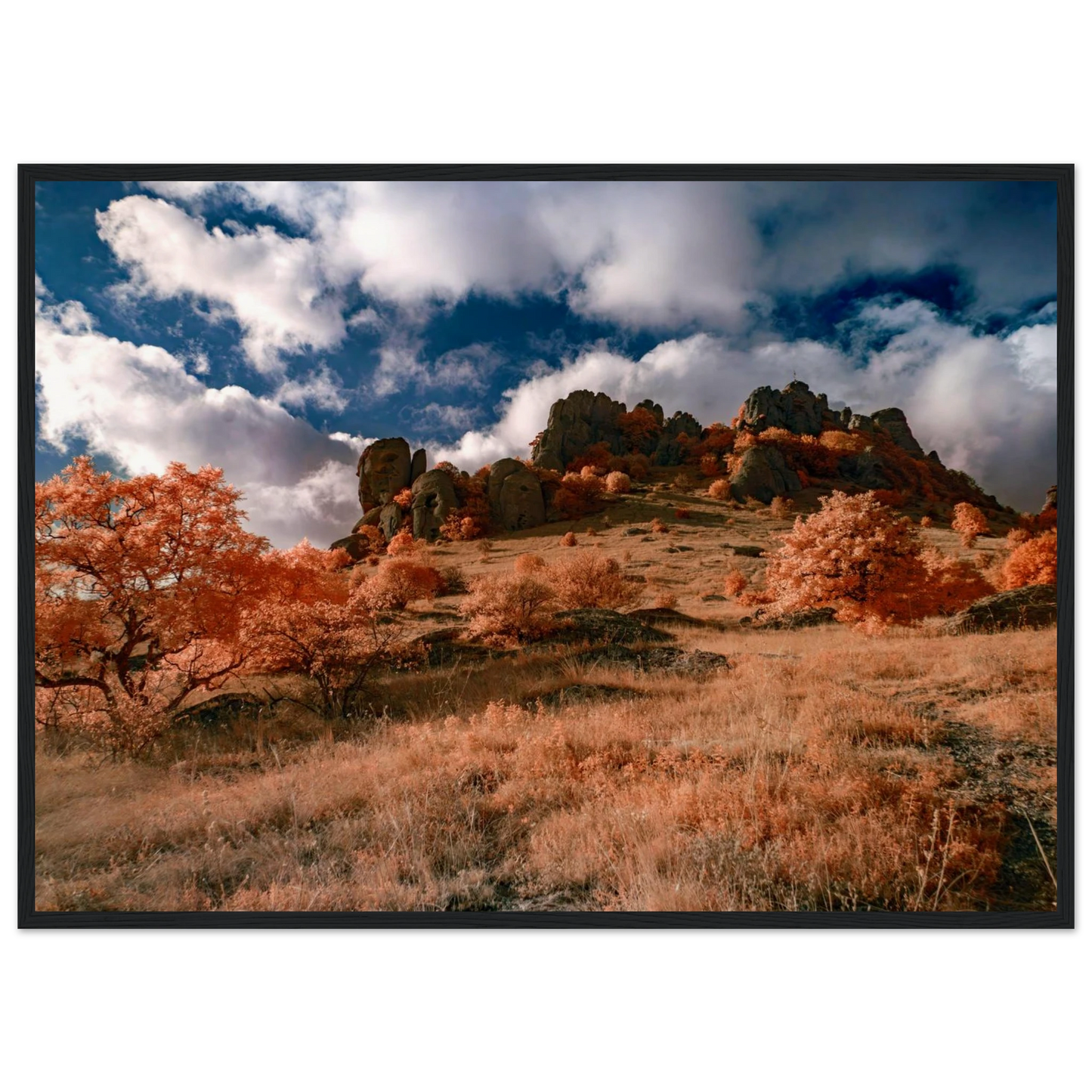 92f593ff-3cb9-4727-827d-6e2473f1a8b2