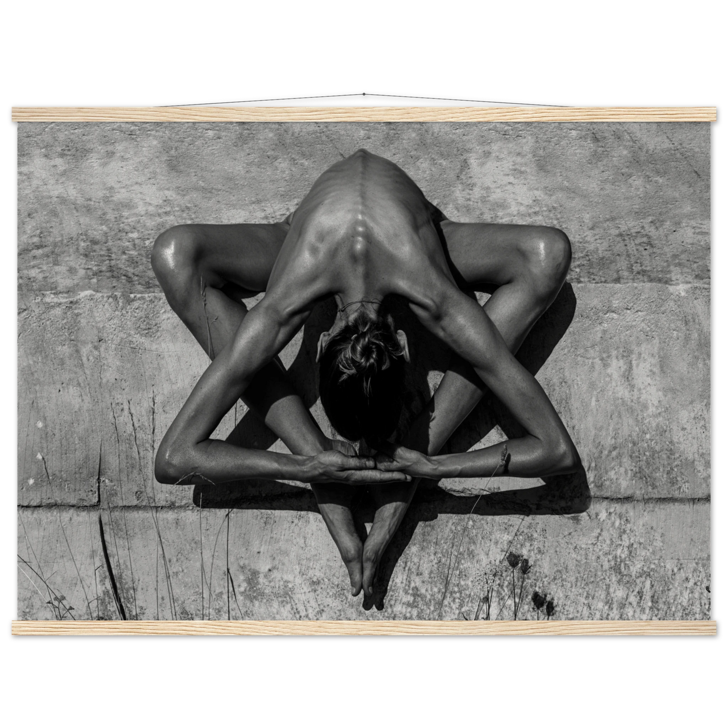 94e05491-0bb1-48db-8566-2de848559795