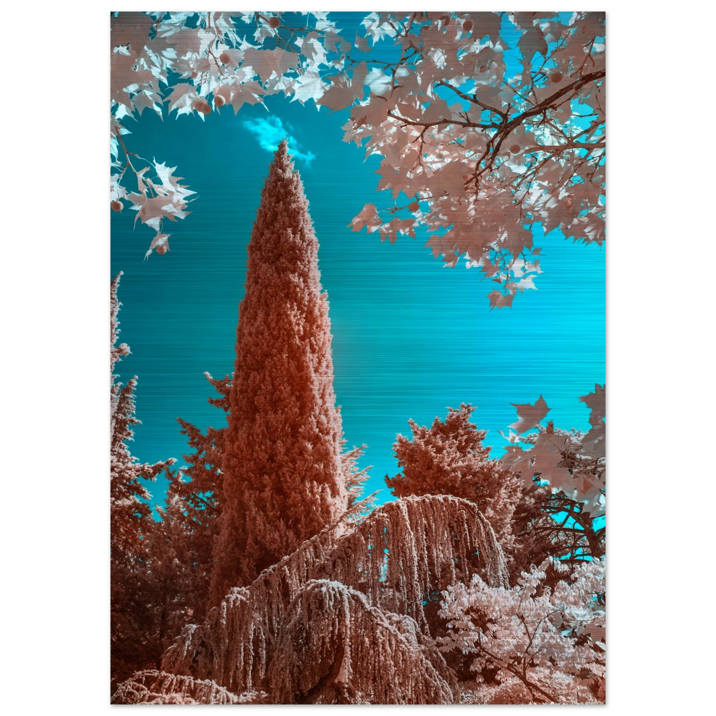 95010bfd-dead-4814-8797-d179a754325c